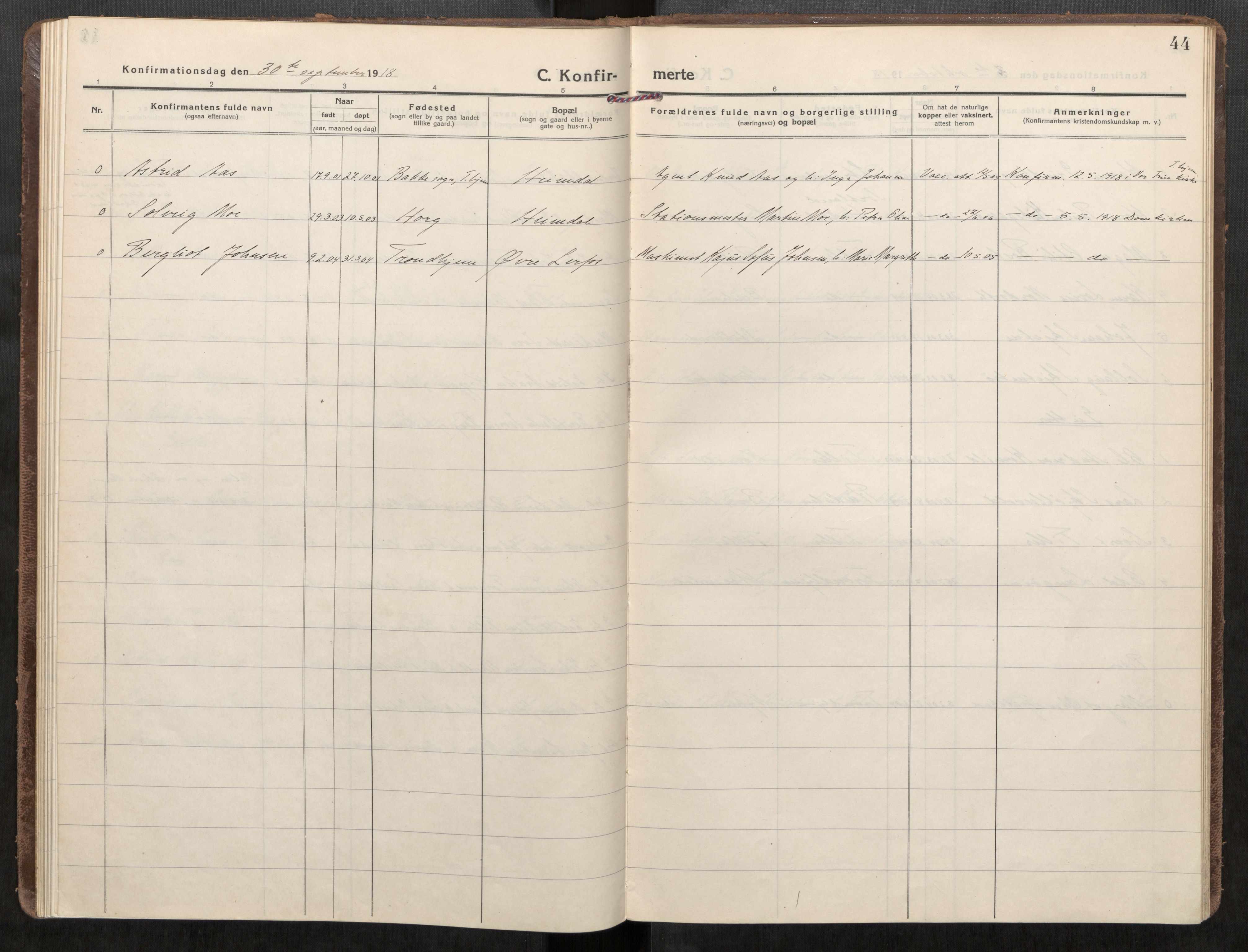 Klæbu sokneprestkontor, AV/SAT-A-1112: Ministerialbok nr. 3, 1917-1924, s. 44