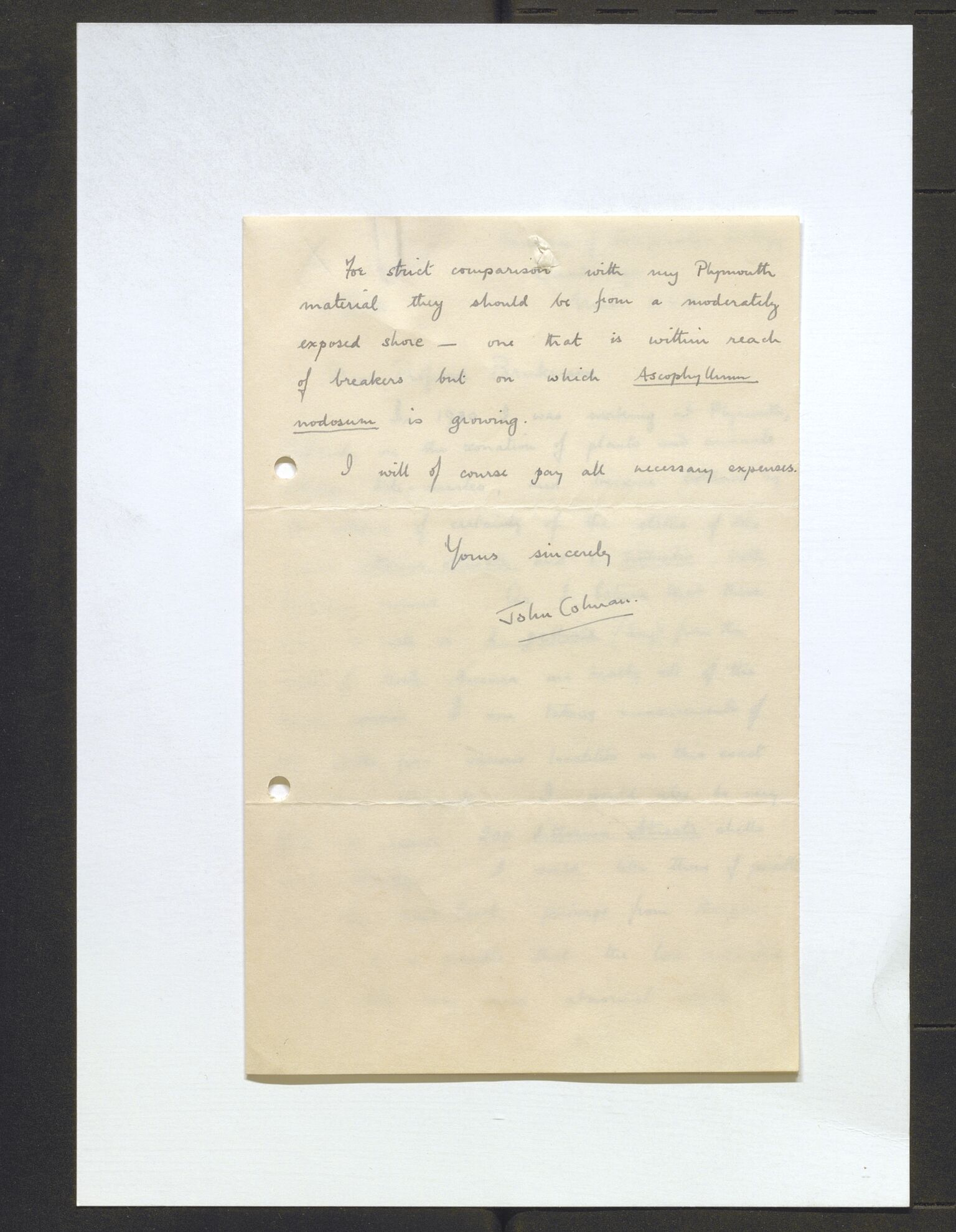 Bergens Museum, AV/SAB-A-17301/13/D/L0002: Korrespondanse , 1928-1940, s. 260