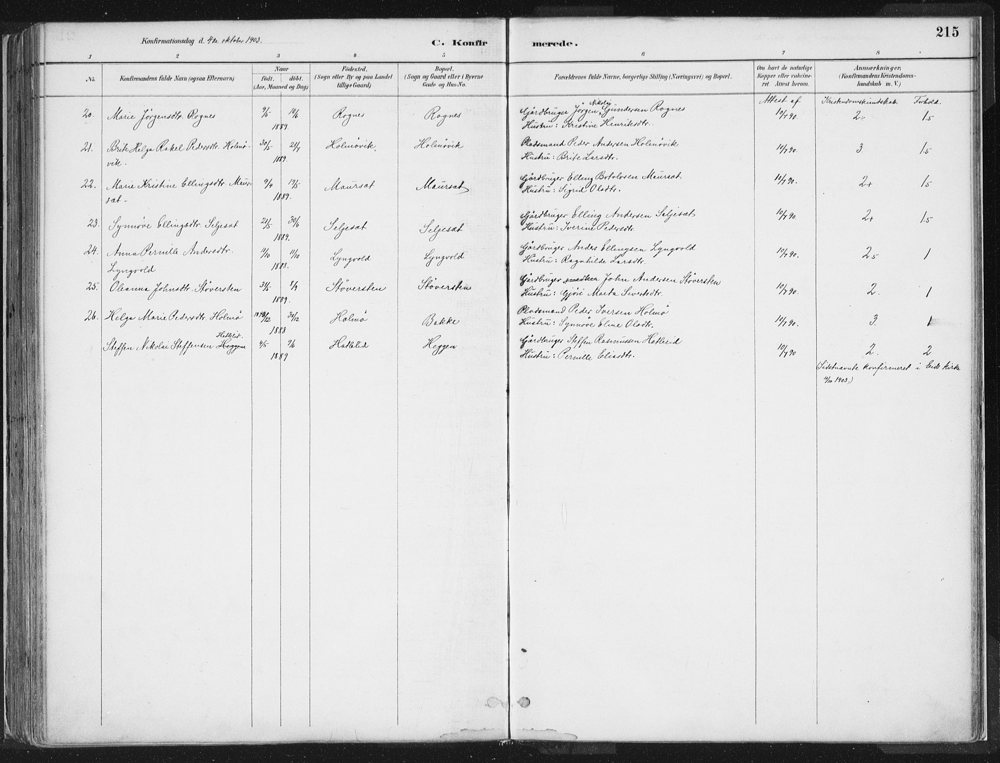 Hornindal sokneprestembete, AV/SAB-A-82401/H/Haa/Haaa/L0003/0001: Ministerialbok nr. A 3A, 1887-1917, s. 215