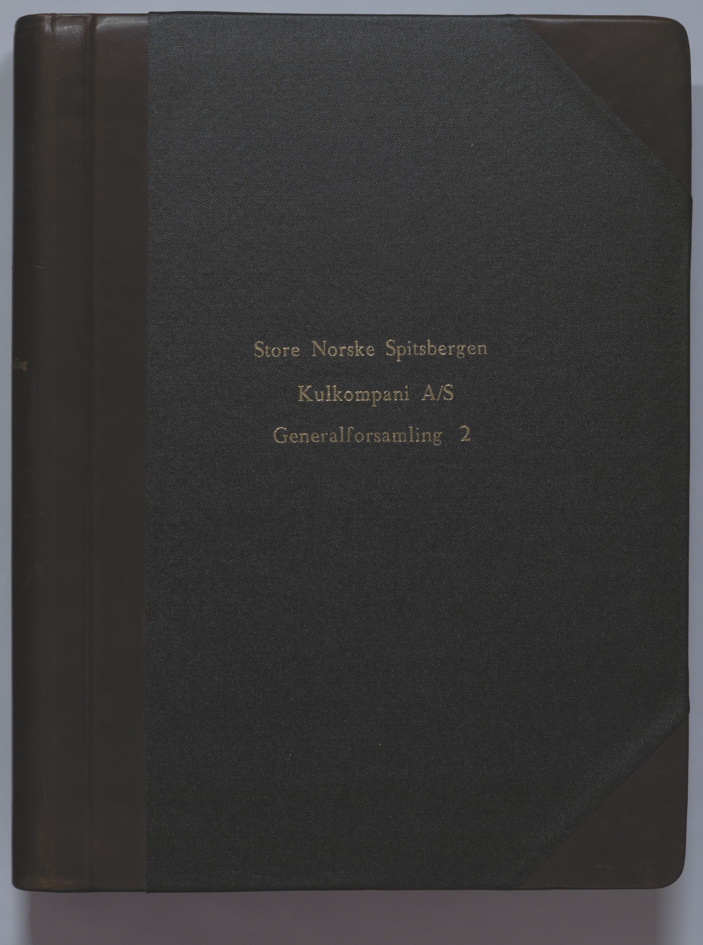 Store Norske Spitsbergen Kulkompani A/S, AV/SATØ-P-0073/09/A/Aa/L0002: Generalforsamling protokoll 2 , 2010-2017