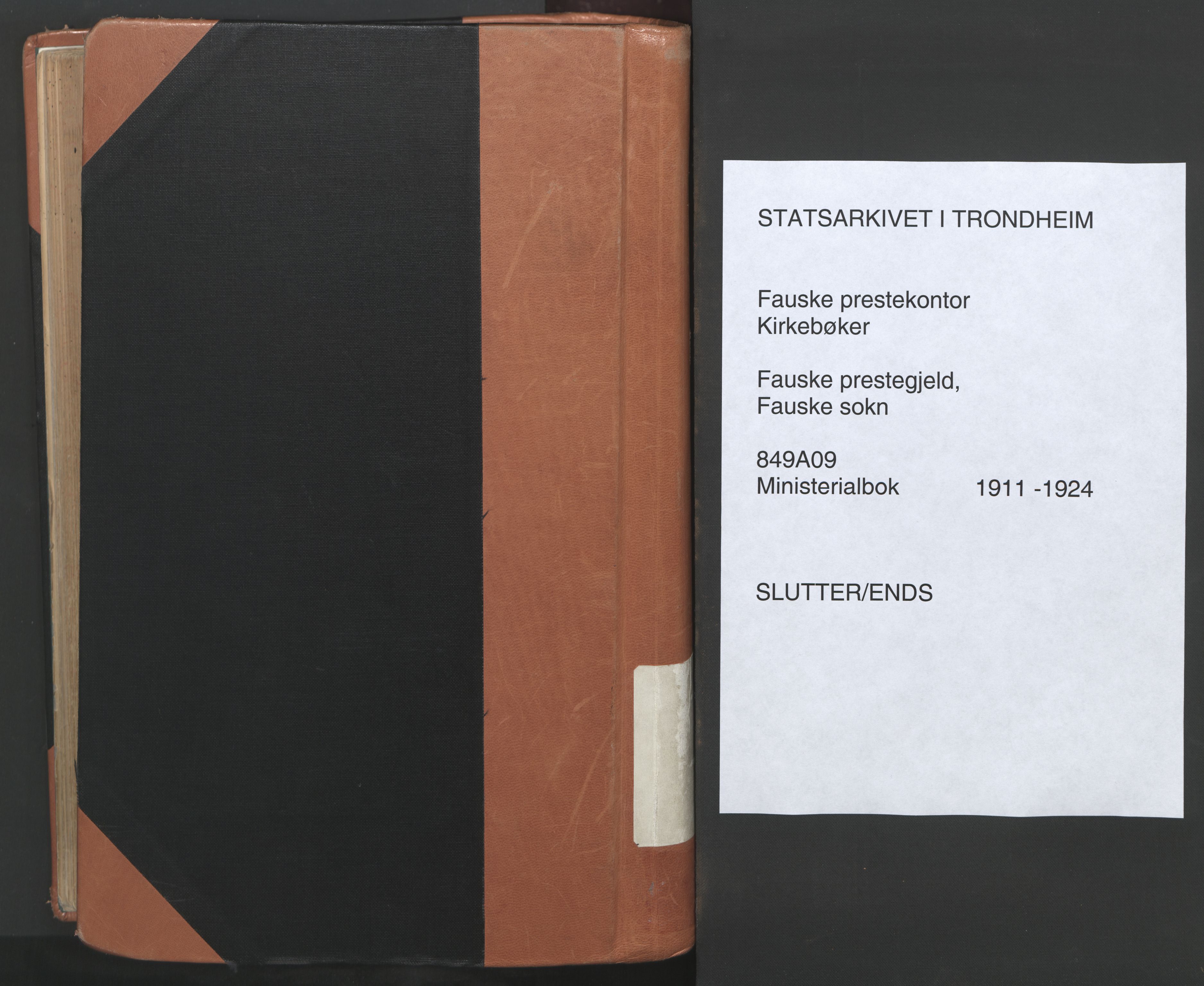 Ministerialprotokoller, klokkerbøker og fødselsregistre - Nordland, AV/SAT-A-1459/849/L0698: Ministerialbok nr. 849A09, 1911-1924