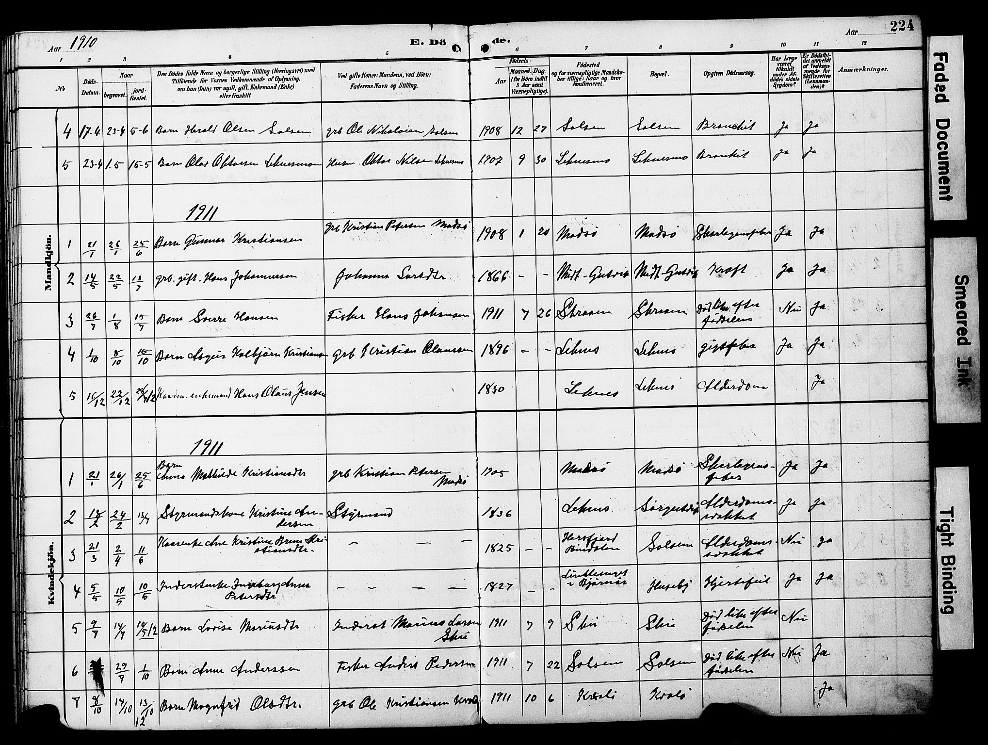 Ministerialprotokoller, klokkerbøker og fødselsregistre - Nord-Trøndelag, SAT/A-1458/788/L0701: Klokkerbok nr. 788C01, 1888-1913, s. 224