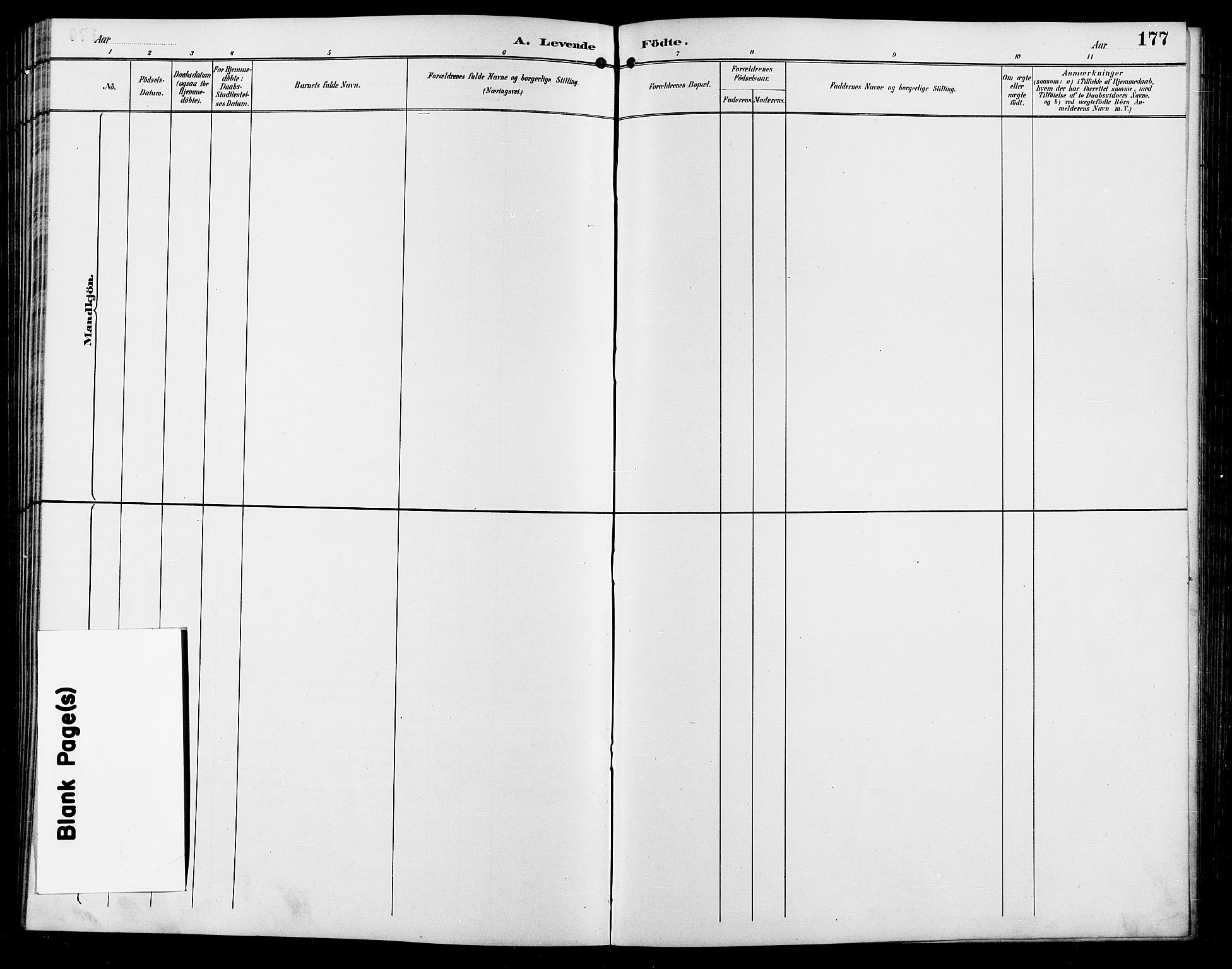 Enebakk prestekontor Kirkebøker, SAO/A-10171c/G/Ga/L0006: Klokkerbok nr. I 6, 1889-1911, s. 177