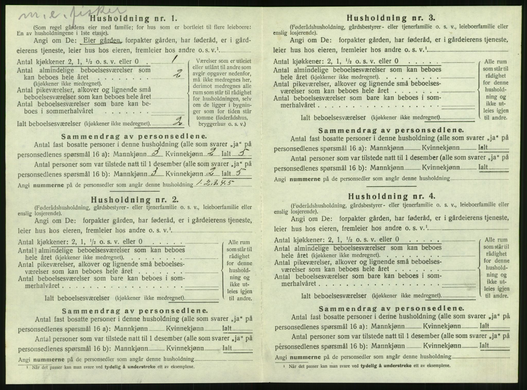 SAT, Folketelling 1920 for 1575 Hopen herred, 1920, s. 453