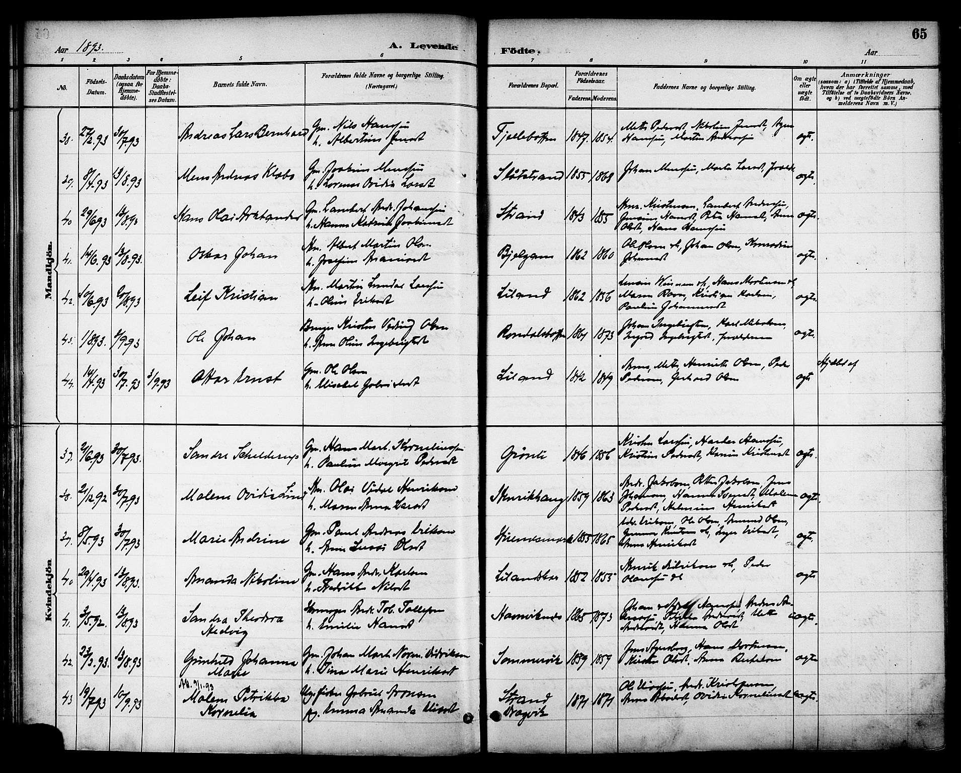 Ministerialprotokoller, klokkerbøker og fødselsregistre - Nordland, AV/SAT-A-1459/863/L0898: Ministerialbok nr. 863A10, 1886-1897, s. 65