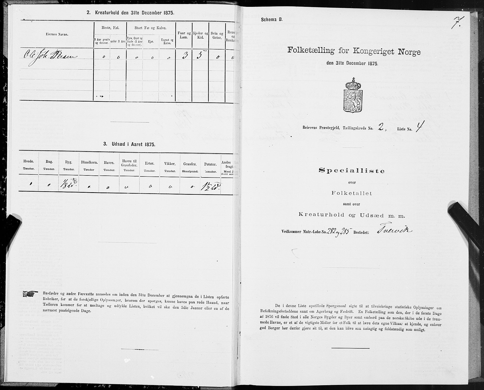 SAT, Folketelling 1875 for 1839P Beiarn prestegjeld, 1875, s. 2007