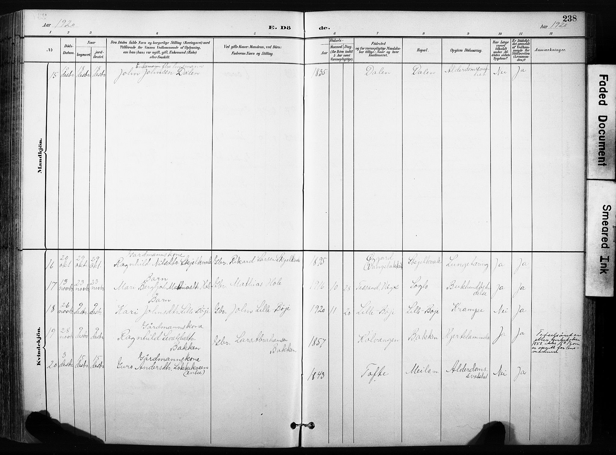 Skjåk prestekontor, AV/SAH-PREST-072/H/Ha/Hab/L0003: Klokkerbok nr. 3, 1893-1932, s. 238