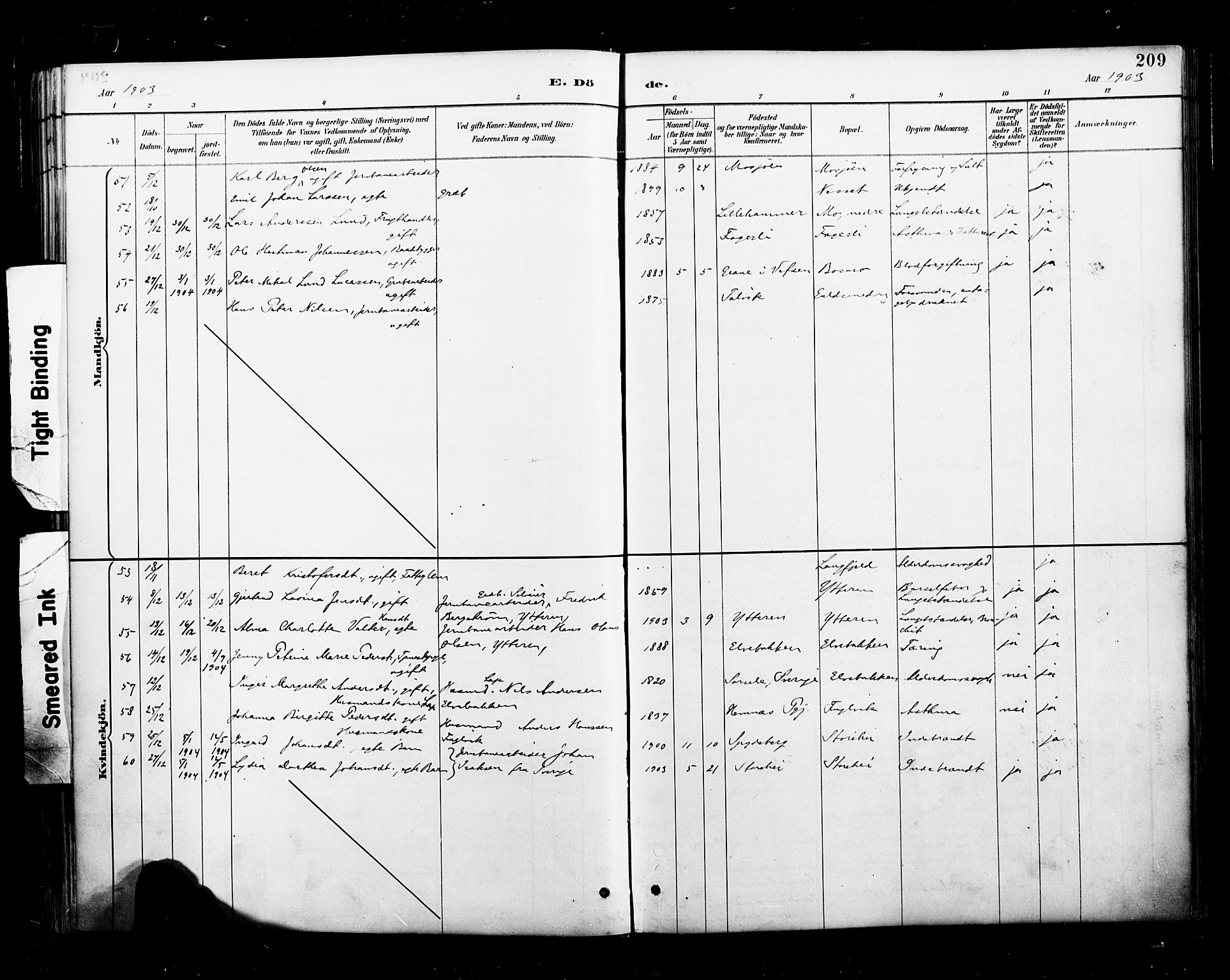 Ministerialprotokoller, klokkerbøker og fødselsregistre - Nordland, SAT/A-1459/827/L0401: Ministerialbok nr. 827A13, 1887-1905, s. 209