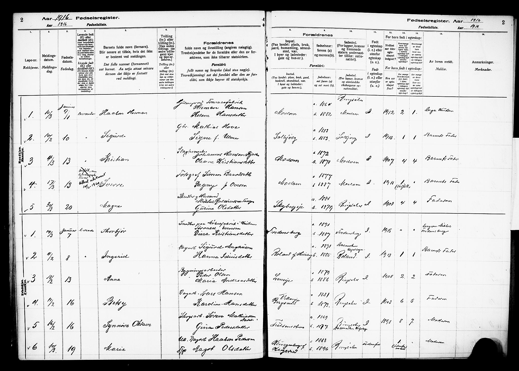 Ringsaker prestekontor, SAH/PREST-014/O/Oa/L0001: Fødselsregister nr. 1, 1916-1925, s. 2