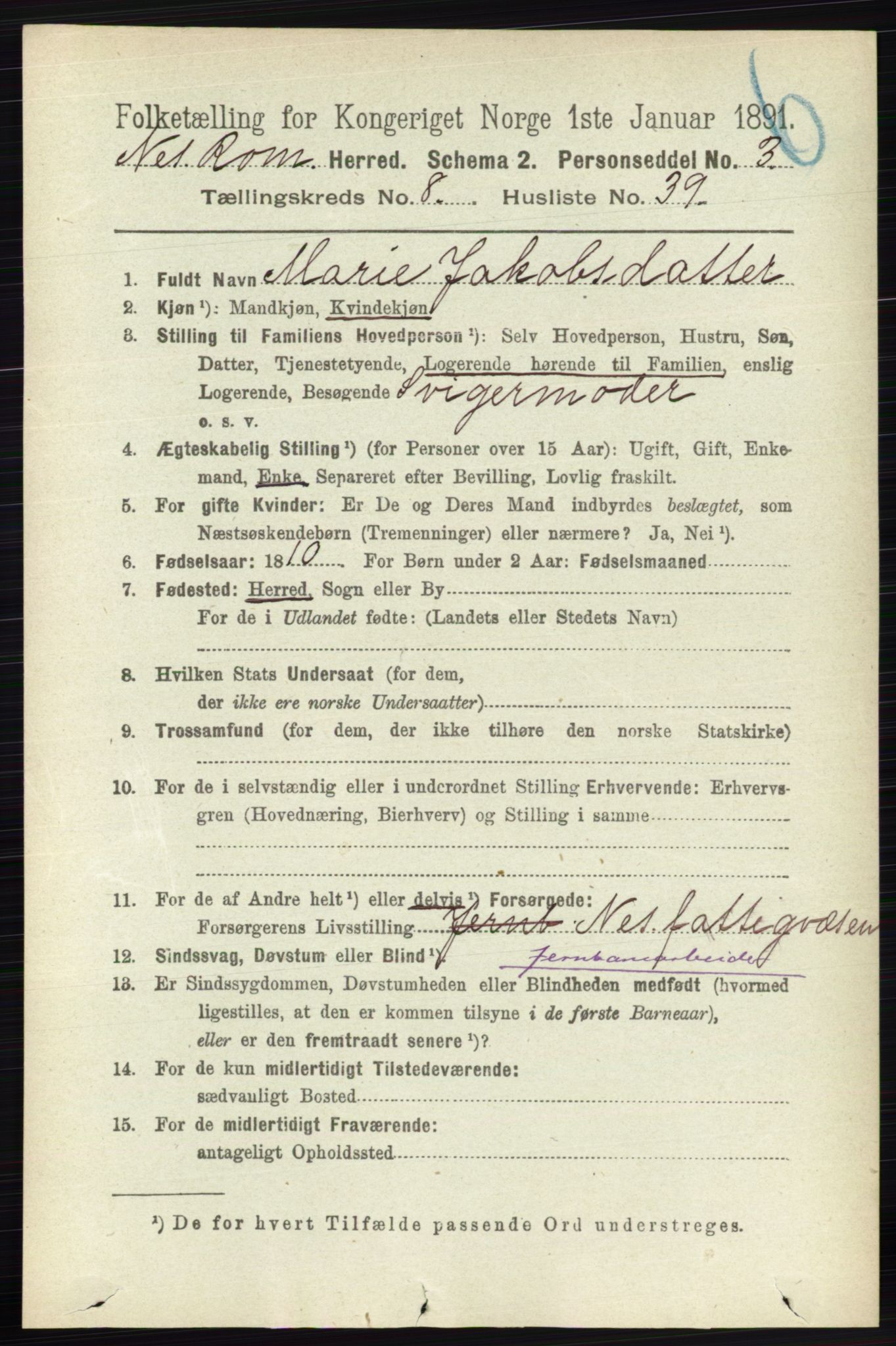 RA, Folketelling 1891 for 0236 Nes herred, 1891, s. 4849