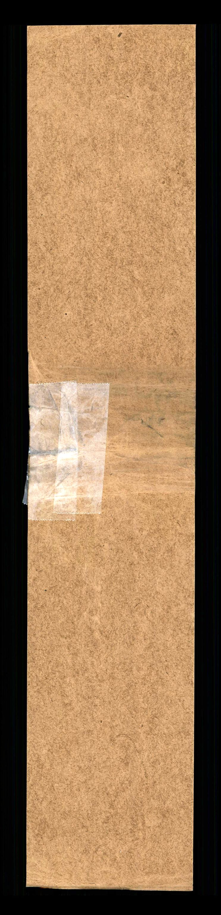 RA, Folketelling 1910 for 1419 Leikanger herred, 1910, s. 309