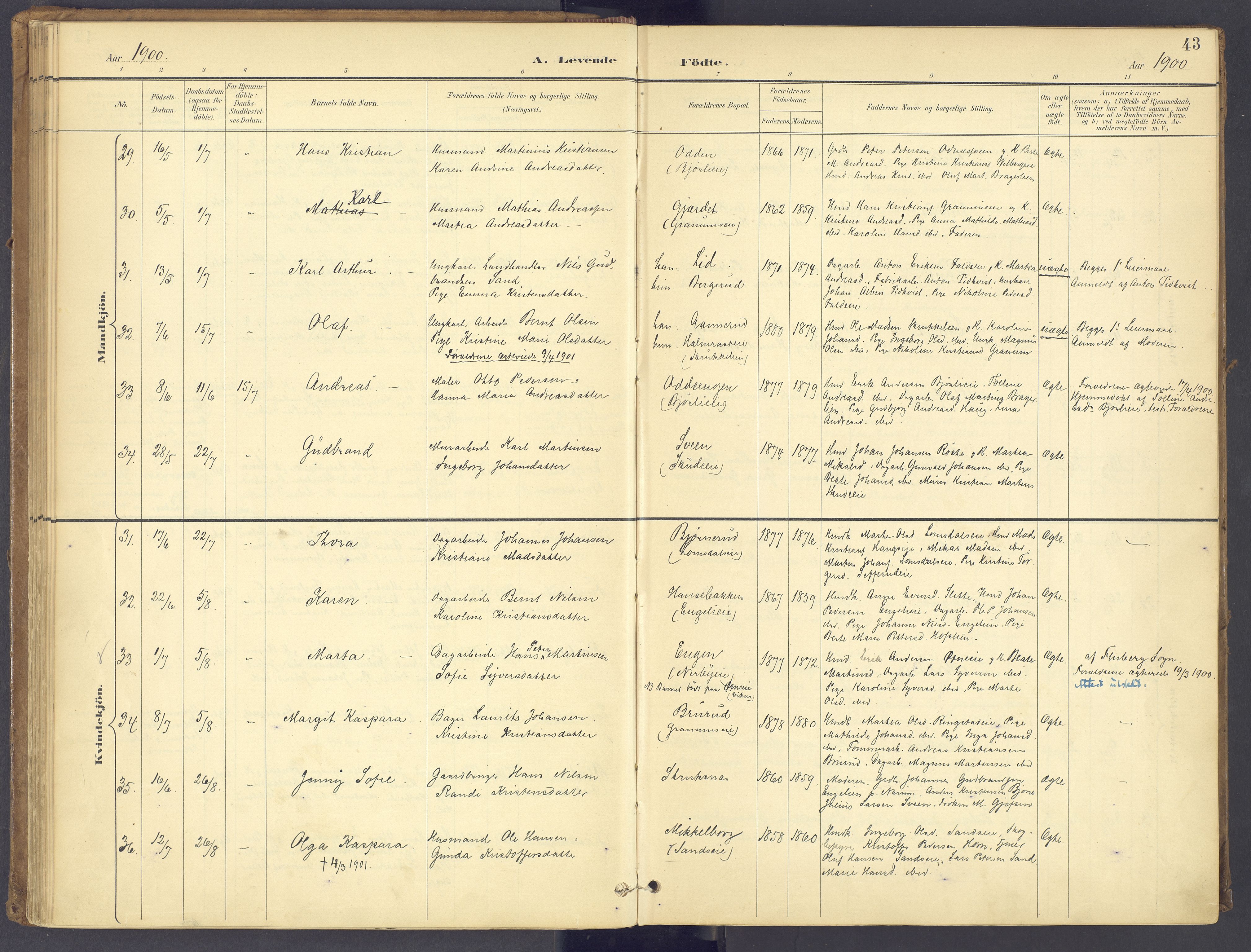 Søndre Land prestekontor, AV/SAH-PREST-122/K/L0006: Ministerialbok nr. 6, 1895-1904, s. 43
