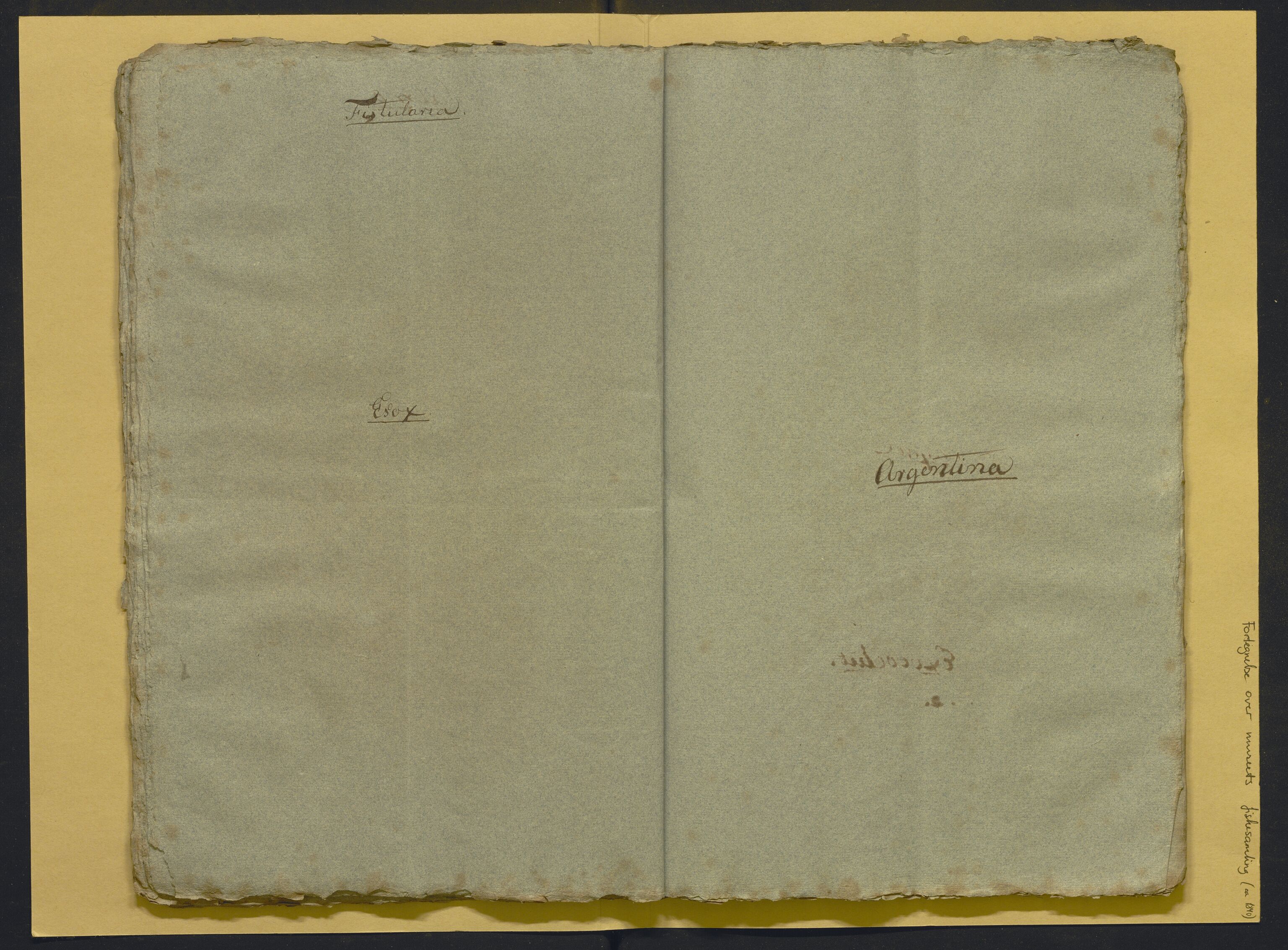Bergens Museum, AV/SAB-A-17301/02/F/L0001: Kataloger over gjenstander og pergamentbrev , 1825-1880, s. 513
