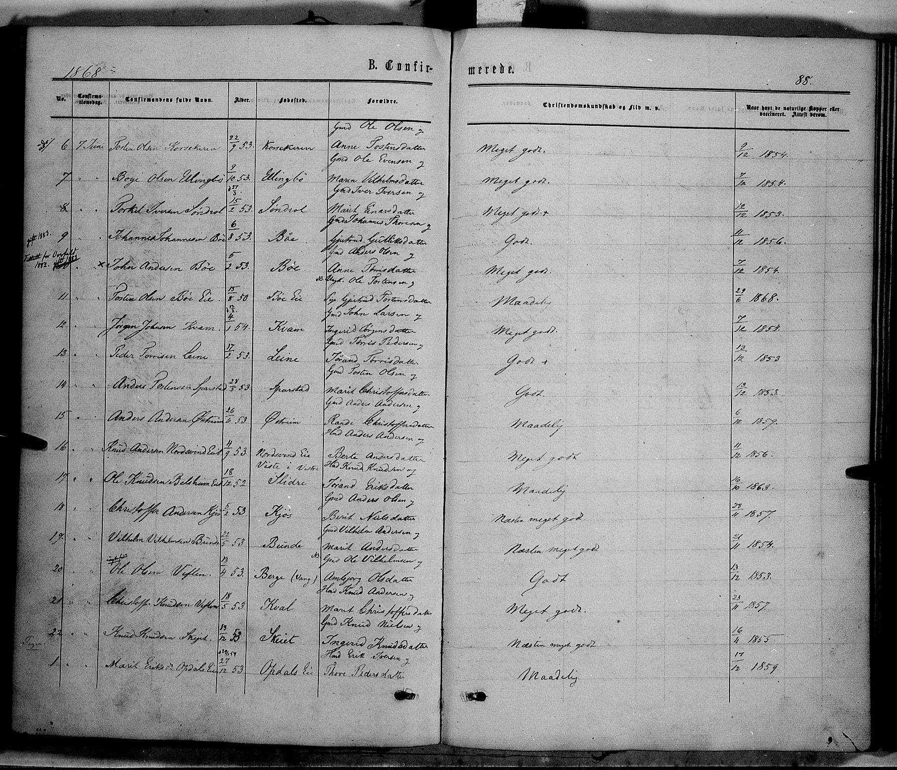 Vang prestekontor, Valdres, AV/SAH-PREST-140/H/Ha/L0007: Ministerialbok nr. 7, 1865-1881, s. 88