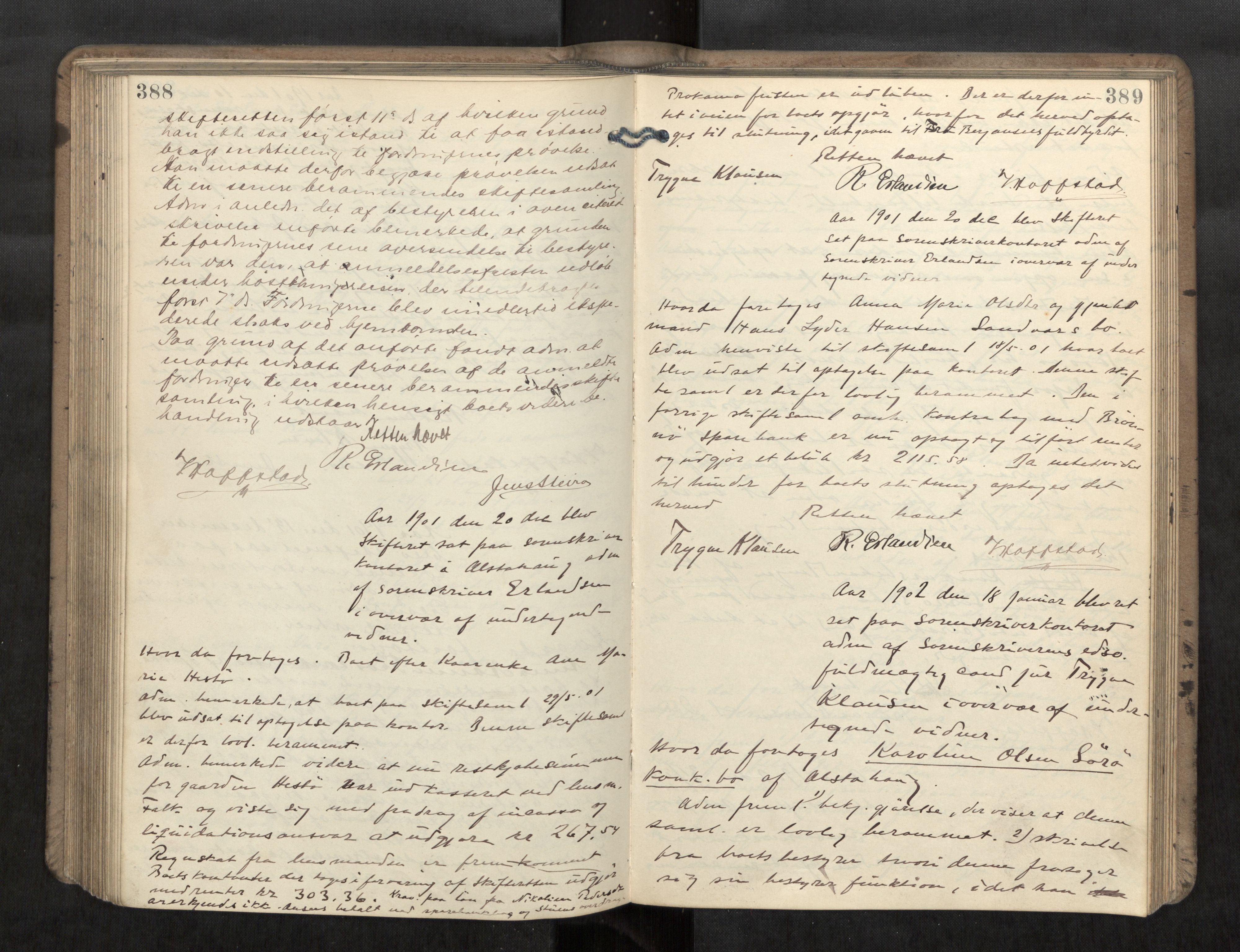 Søndre Helgeland sorenskriveri, AV/SAT-A-4575/1/3/3B/L0006: Skiftebehandlingsprotokoll, 1899-1903, s. 388-389