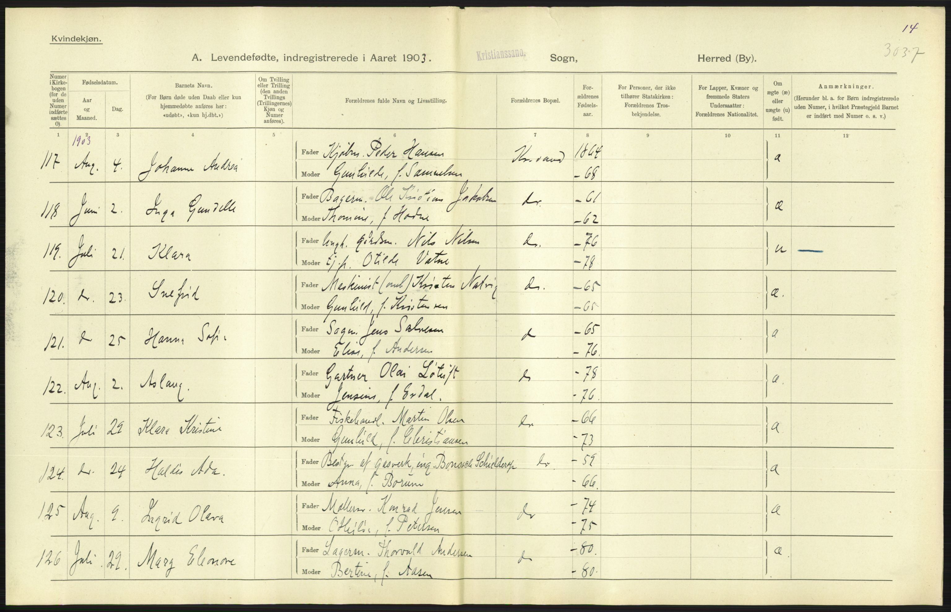 Statistisk sentralbyrå, Sosiodemografiske emner, Befolkning, AV/RA-S-2228/D/Df/Dfa/Dfaa/L0011: Lister og Mandal amt: Fødte, gifte, døde, 1903, s. 245