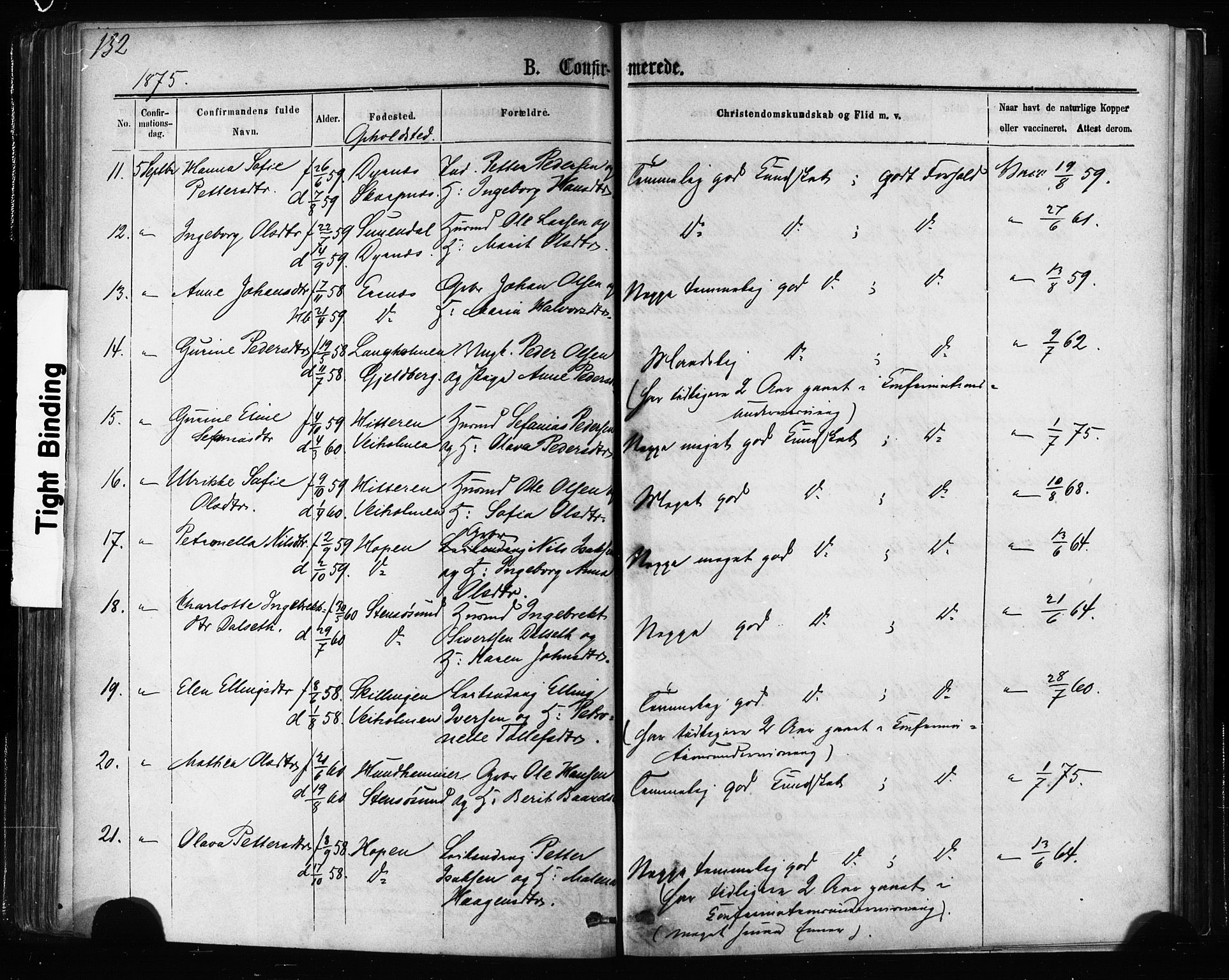 Ministerialprotokoller, klokkerbøker og fødselsregistre - Møre og Romsdal, AV/SAT-A-1454/581/L0938: Ministerialbok nr. 581A06, 1873-1879, s. 132