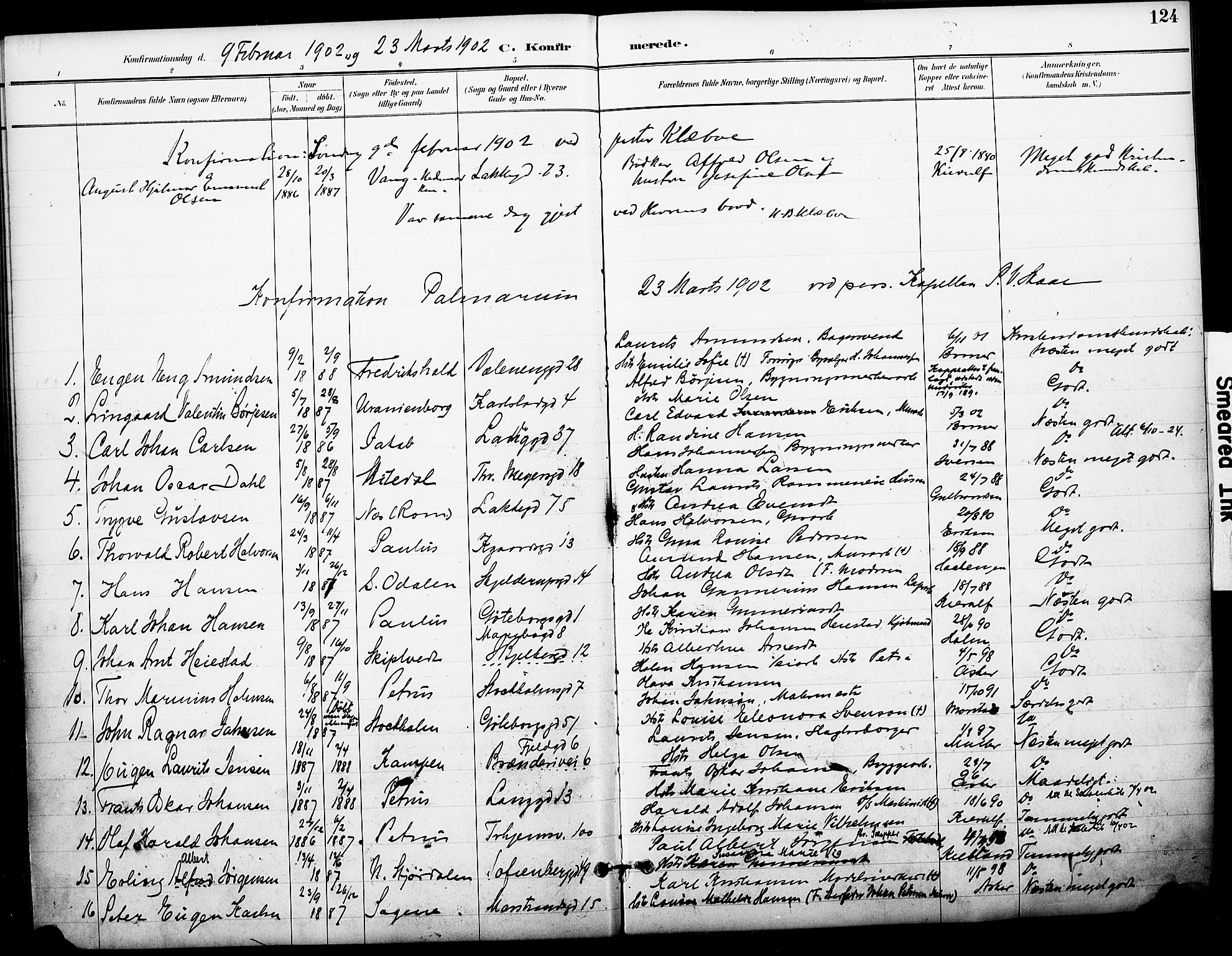 Petrus prestekontor Kirkebøker, AV/SAO-A-10872/F/Fa/L0006: Ministerialbok nr. I 6, 1889-1908, s. 124