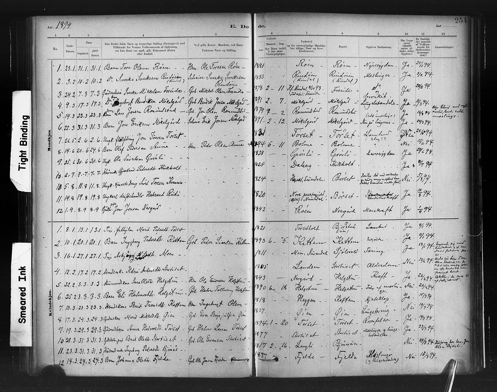 Ministerialprotokoller, klokkerbøker og fødselsregistre - Møre og Romsdal, AV/SAT-A-1454/598/L1069: Ministerialbok nr. 598A03, 1882-1895, s. 254