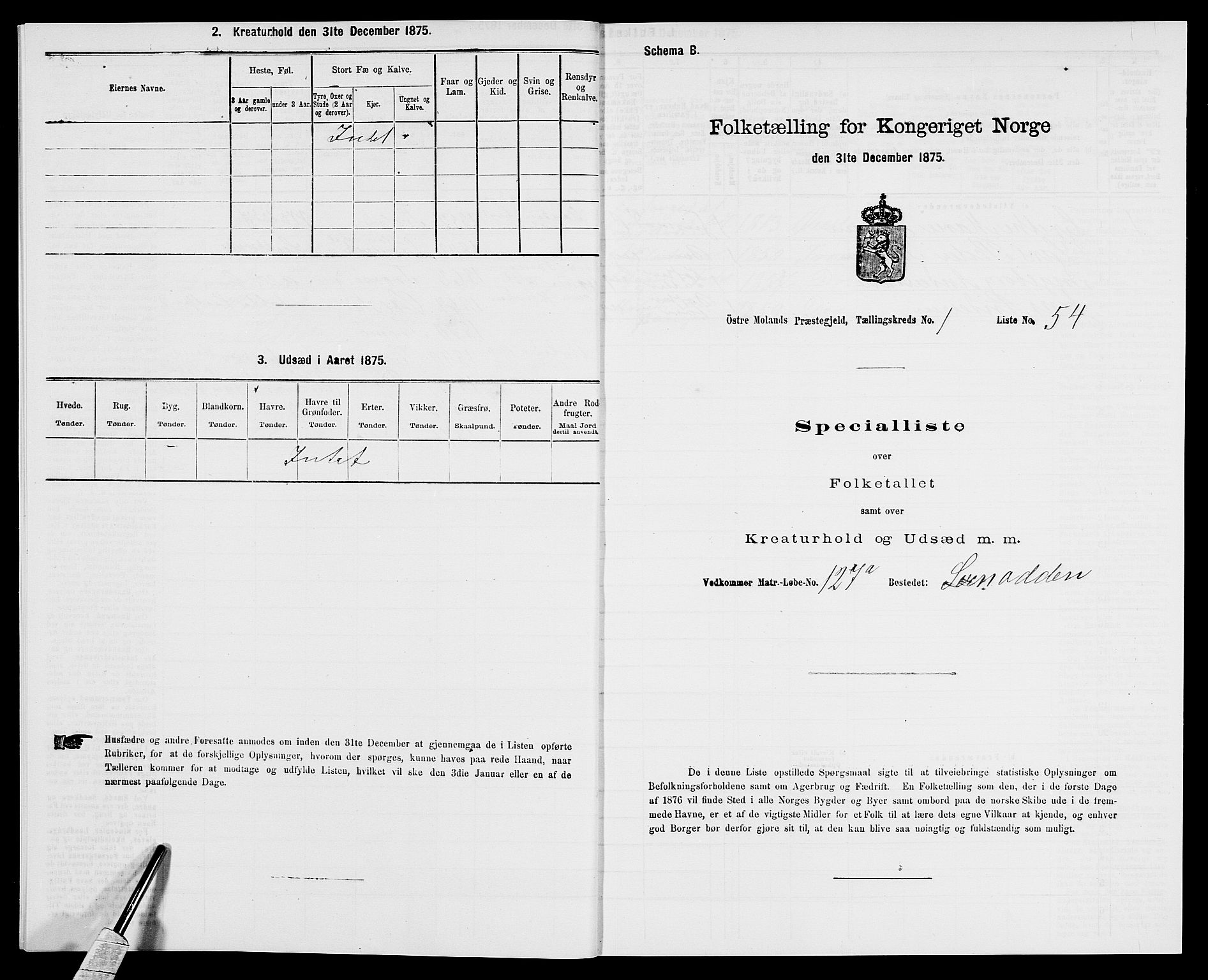 SAK, Folketelling 1875 for 0918P Austre Moland prestegjeld, 1875, s. 221