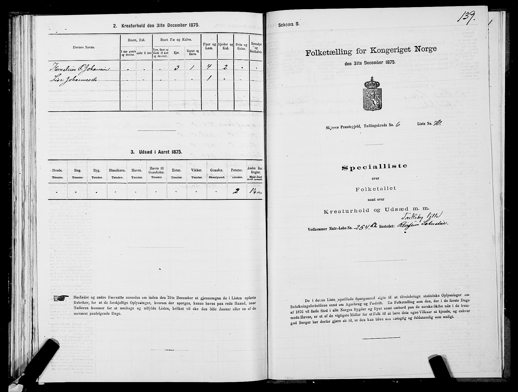 SATØ, Folketelling 1875 for 1941P Skjervøy prestegjeld, 1875, s. 5139