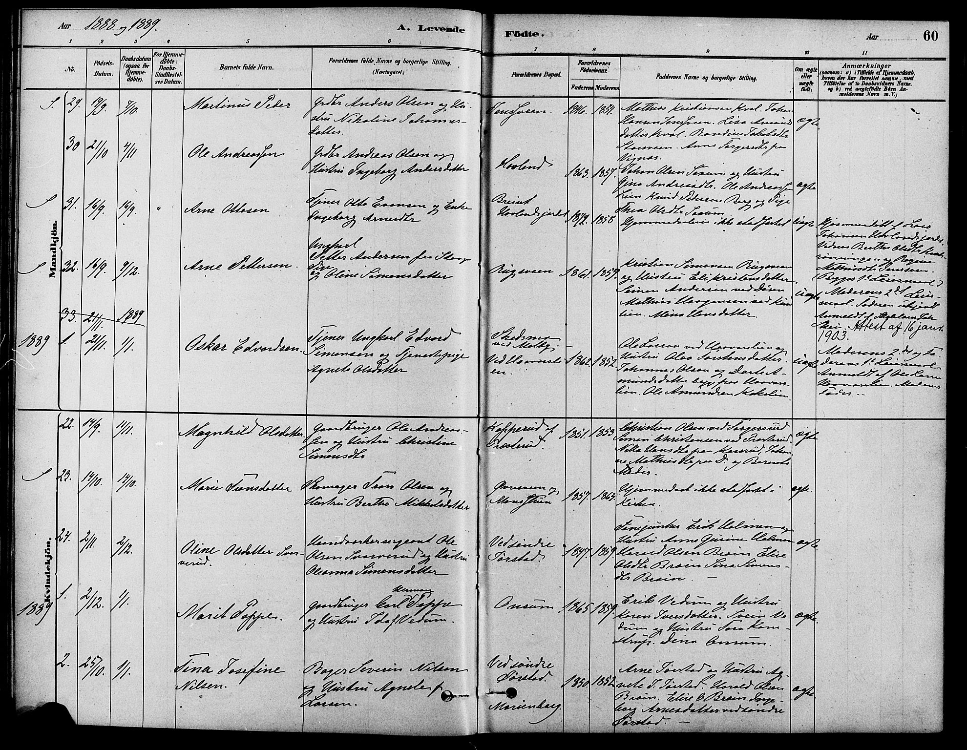 Fåberg prestekontor, SAH/PREST-086/H/Ha/Haa/L0008: Ministerialbok nr. 8, 1879-1898, s. 60