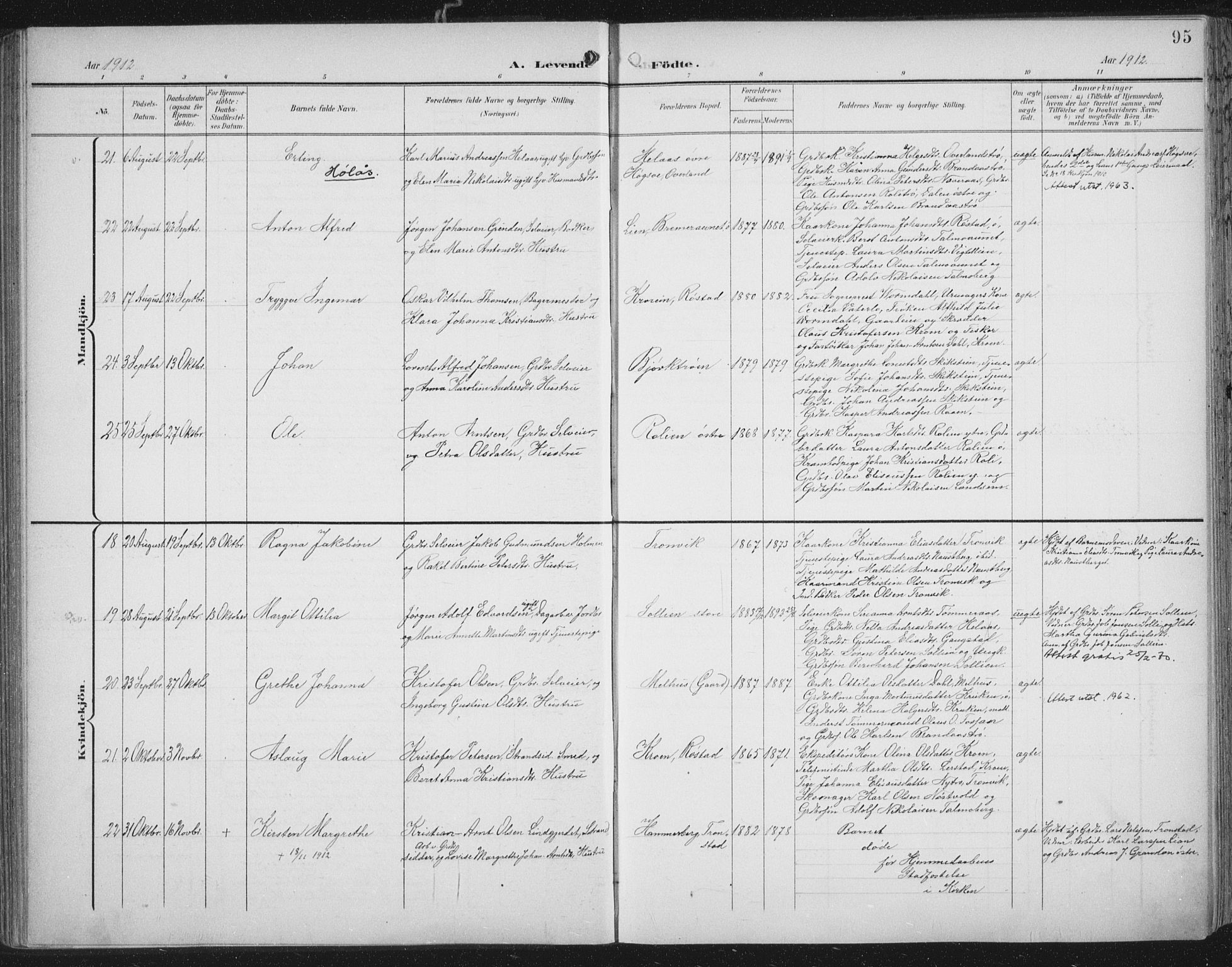 Ministerialprotokoller, klokkerbøker og fødselsregistre - Nord-Trøndelag, SAT/A-1458/701/L0011: Ministerialbok nr. 701A11, 1899-1915, s. 95