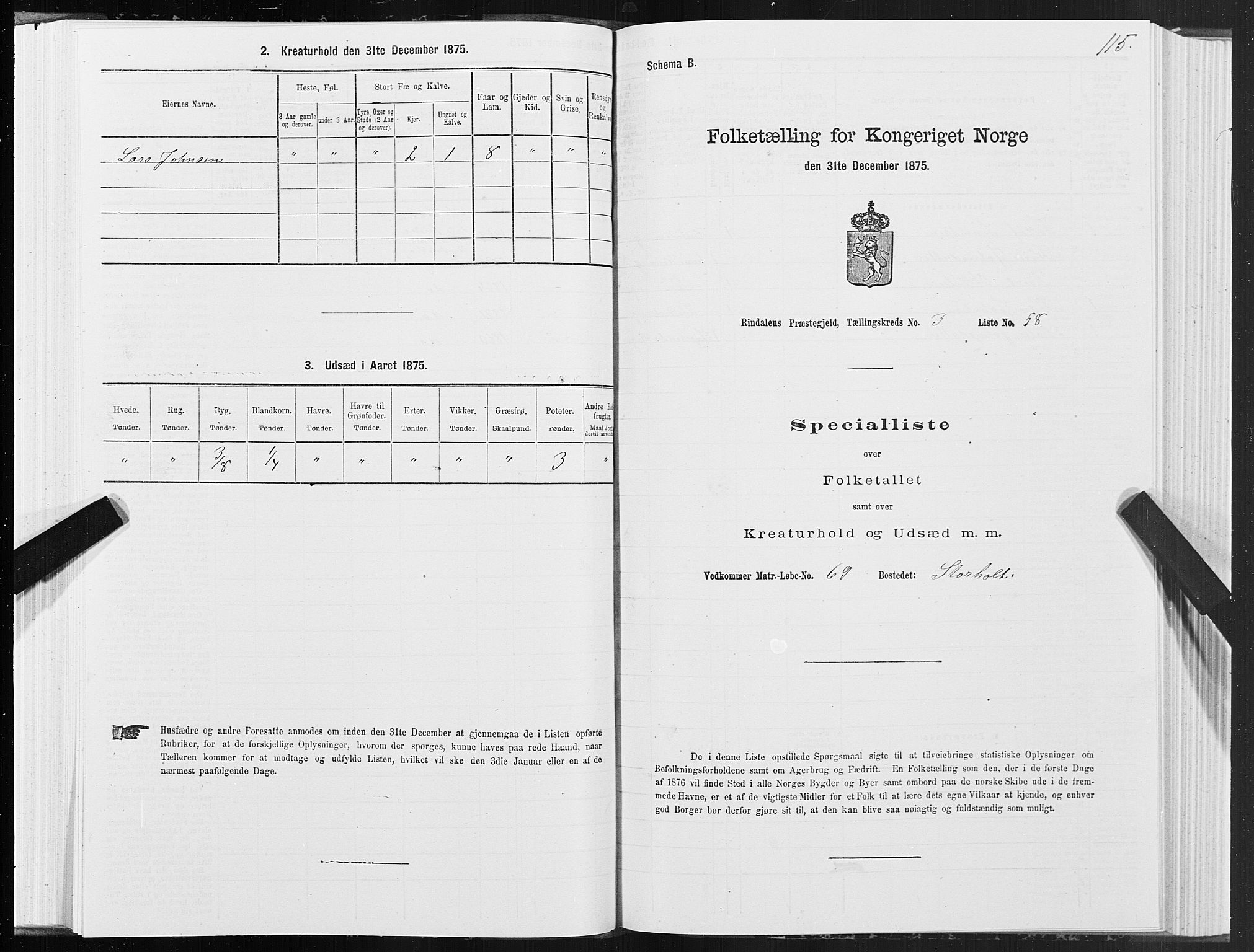 SAT, Folketelling 1875 for 1567P Rindal prestegjeld, 1875, s. 2115
