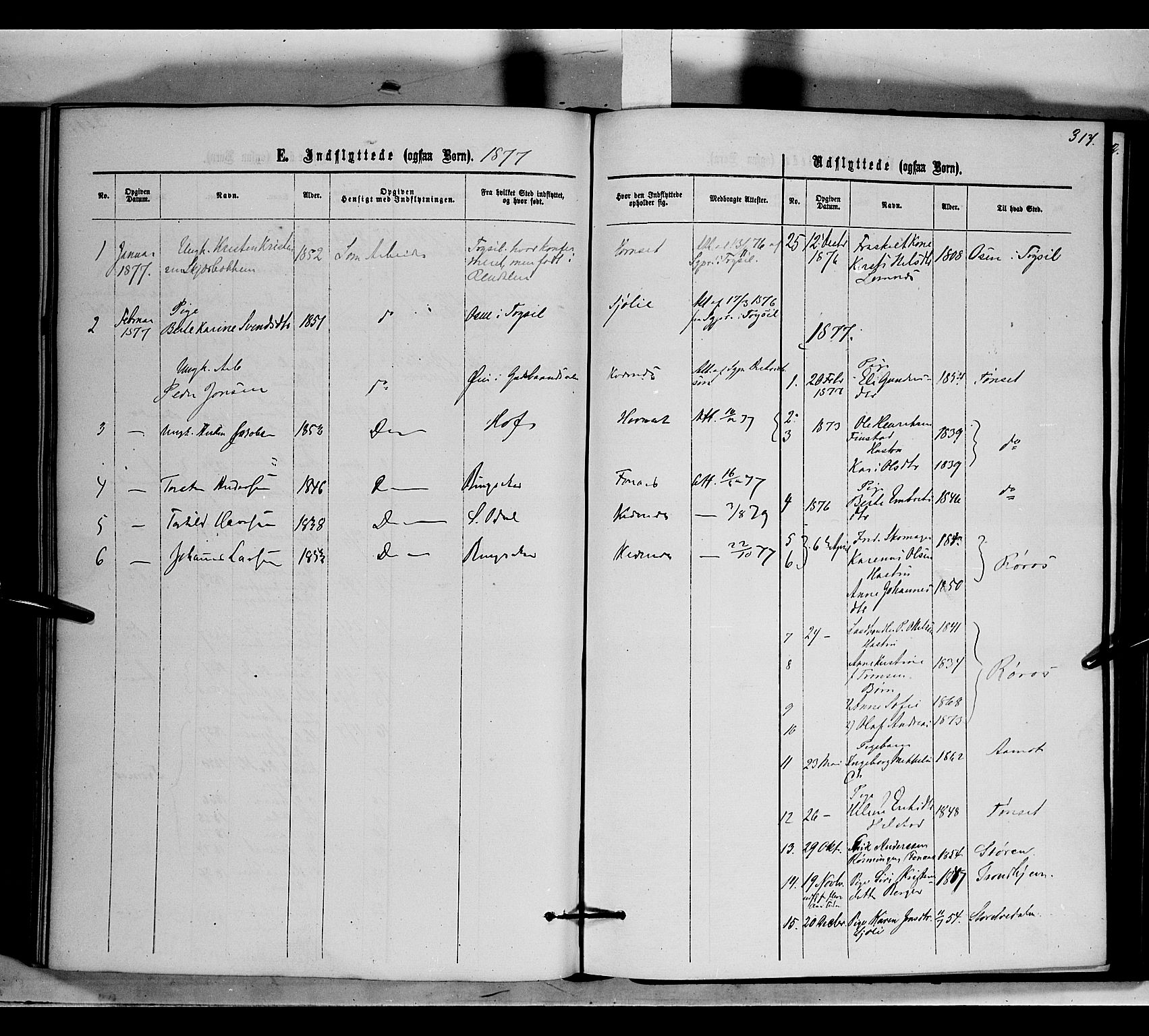 Rendalen prestekontor, AV/SAH-PREST-054/H/Ha/Haa/L0006: Ministerialbok nr. 6, 1867-1877, s. 317