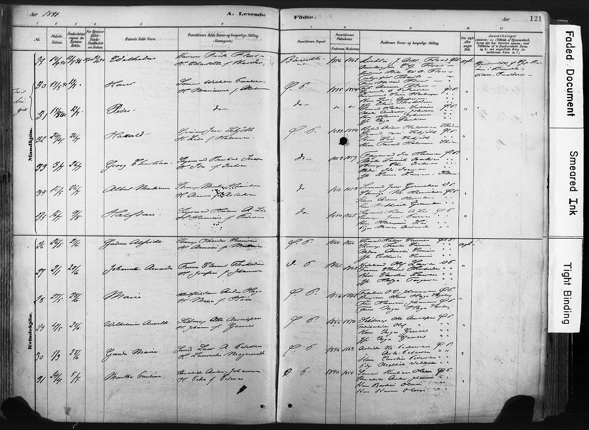 Porsgrunn kirkebøker , AV/SAKO-A-104/F/Fa/L0008: Ministerialbok nr. 8, 1878-1895, s. 121