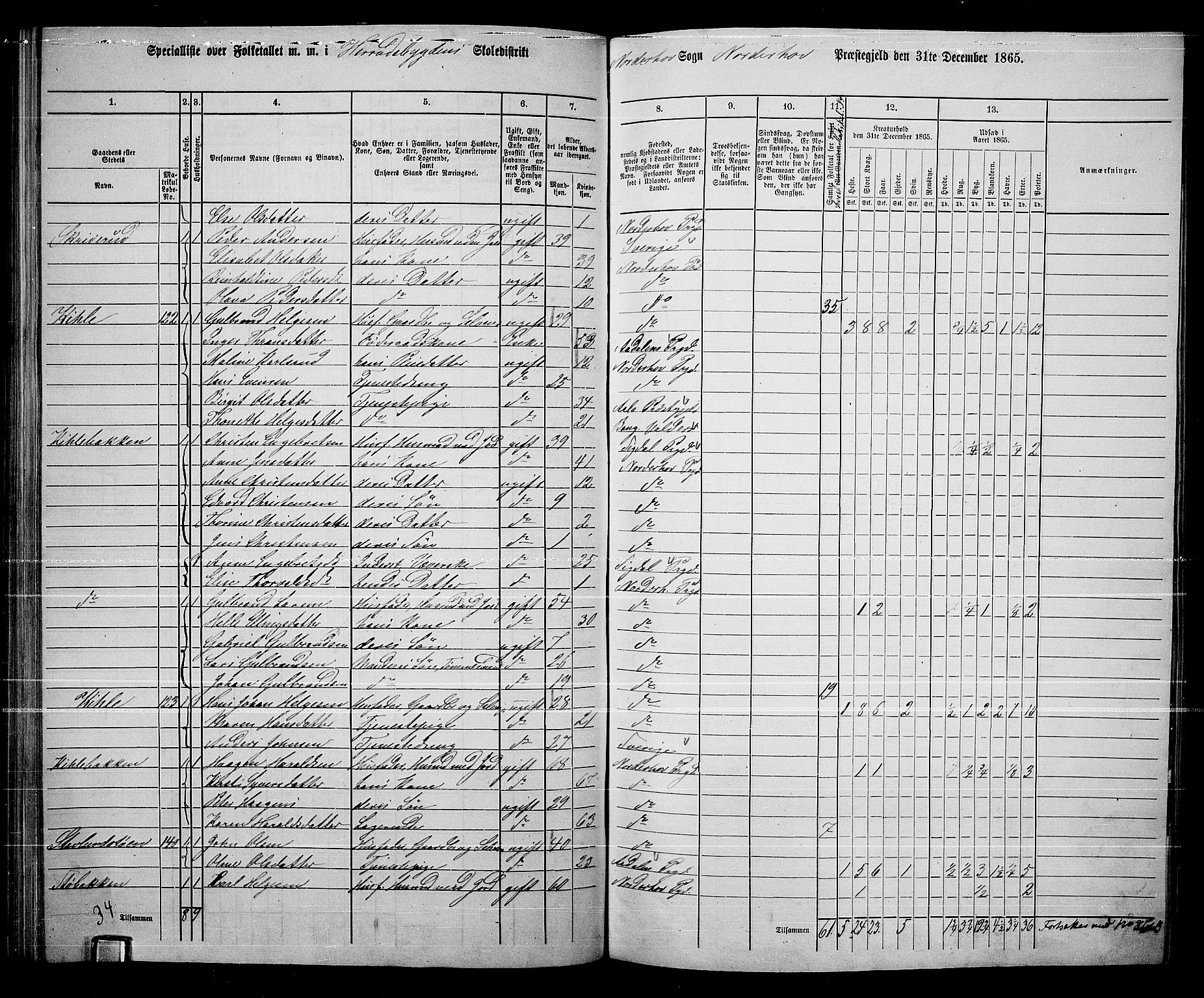 RA, Folketelling 1865 for 0613L Norderhov prestegjeld, Norderhov sokn, Haug sokn og Lunder sokn, 1865, s. 170