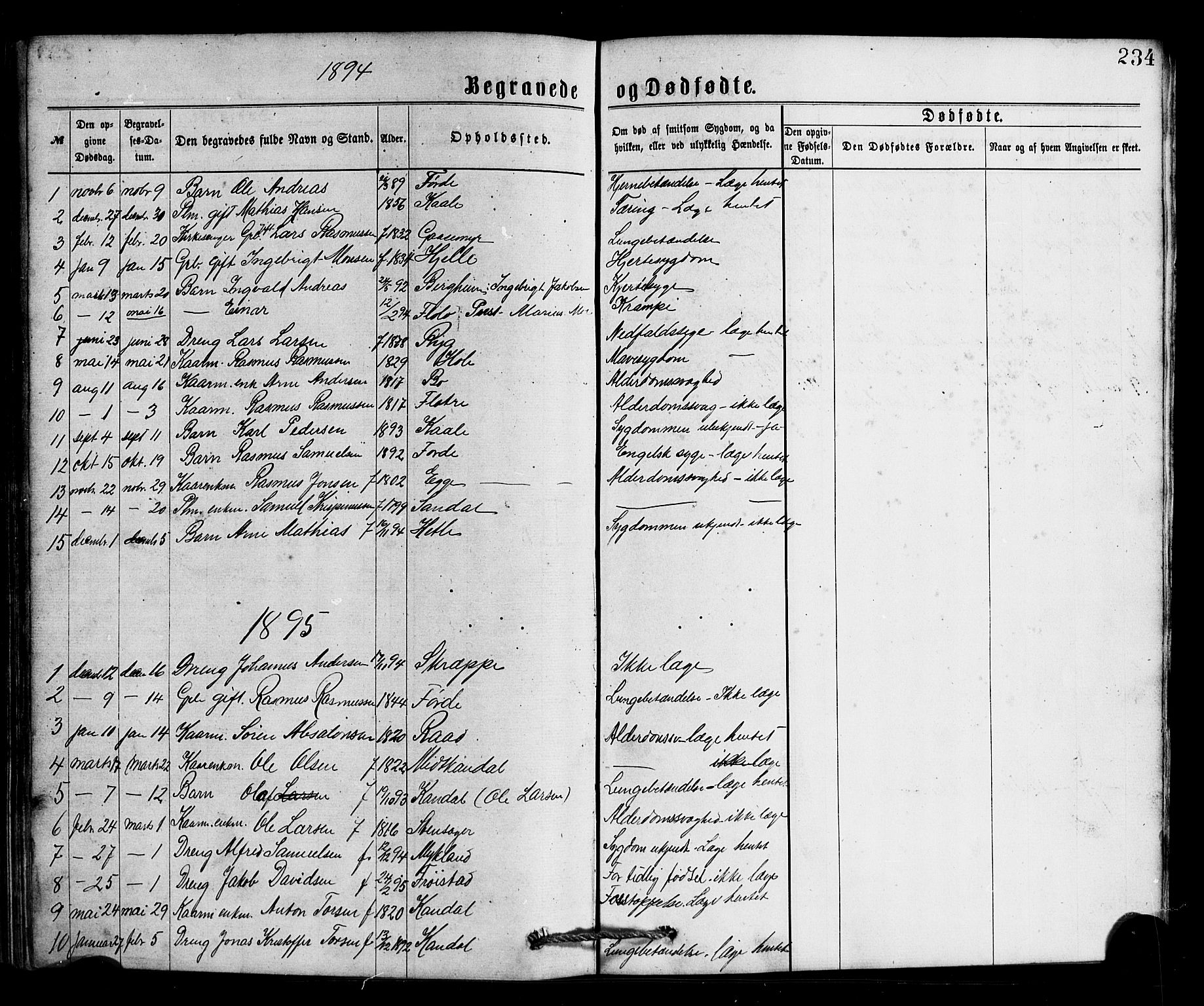 Gloppen sokneprestembete, AV/SAB-A-80101/H/Hab/Habc/L0001: Klokkerbok nr. C 1, 1872-1896, s. 234