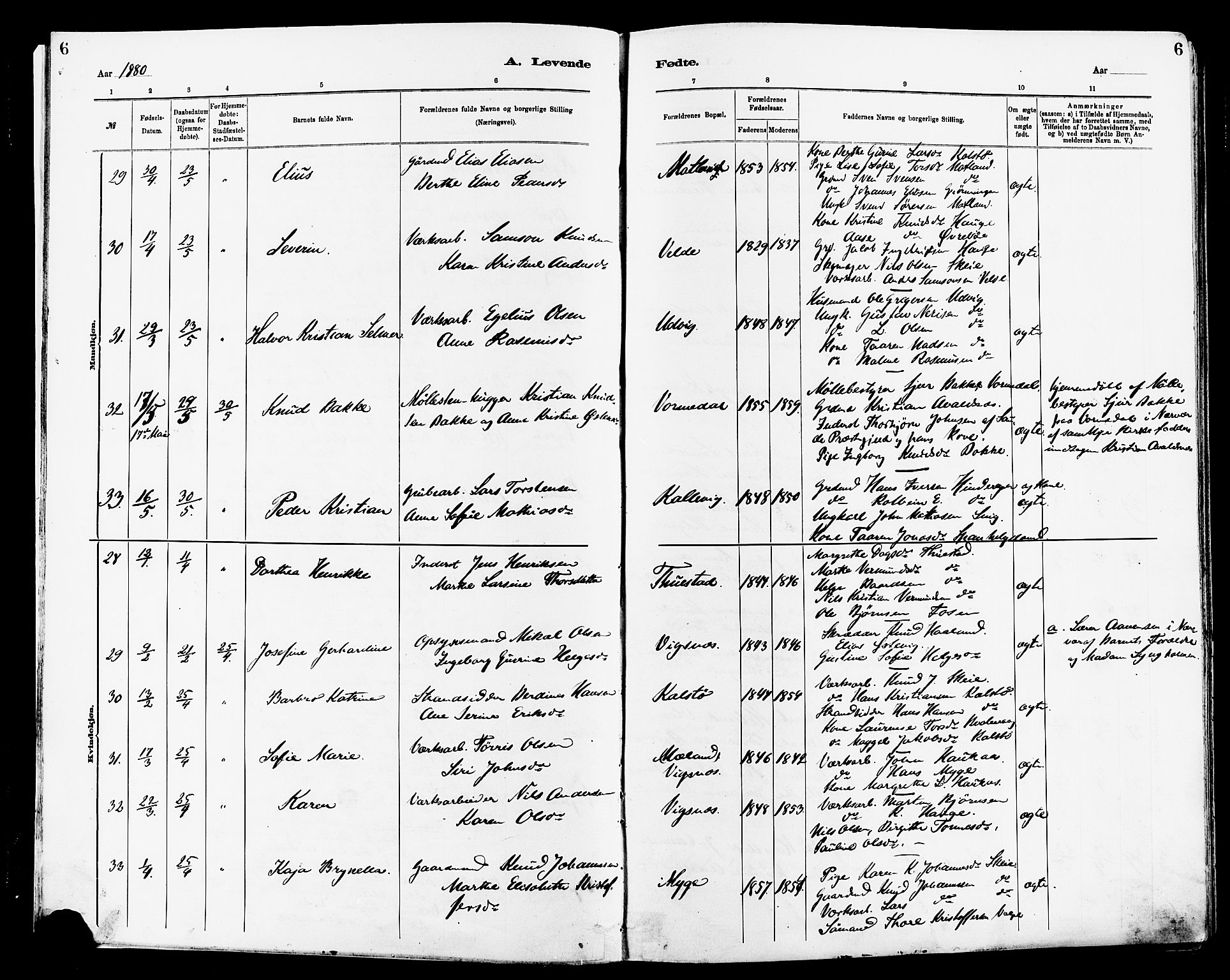 Avaldsnes sokneprestkontor, SAST/A -101851/H/Ha/Haa/L0014: Ministerialbok nr. A 14, 1880-1889, s. 6