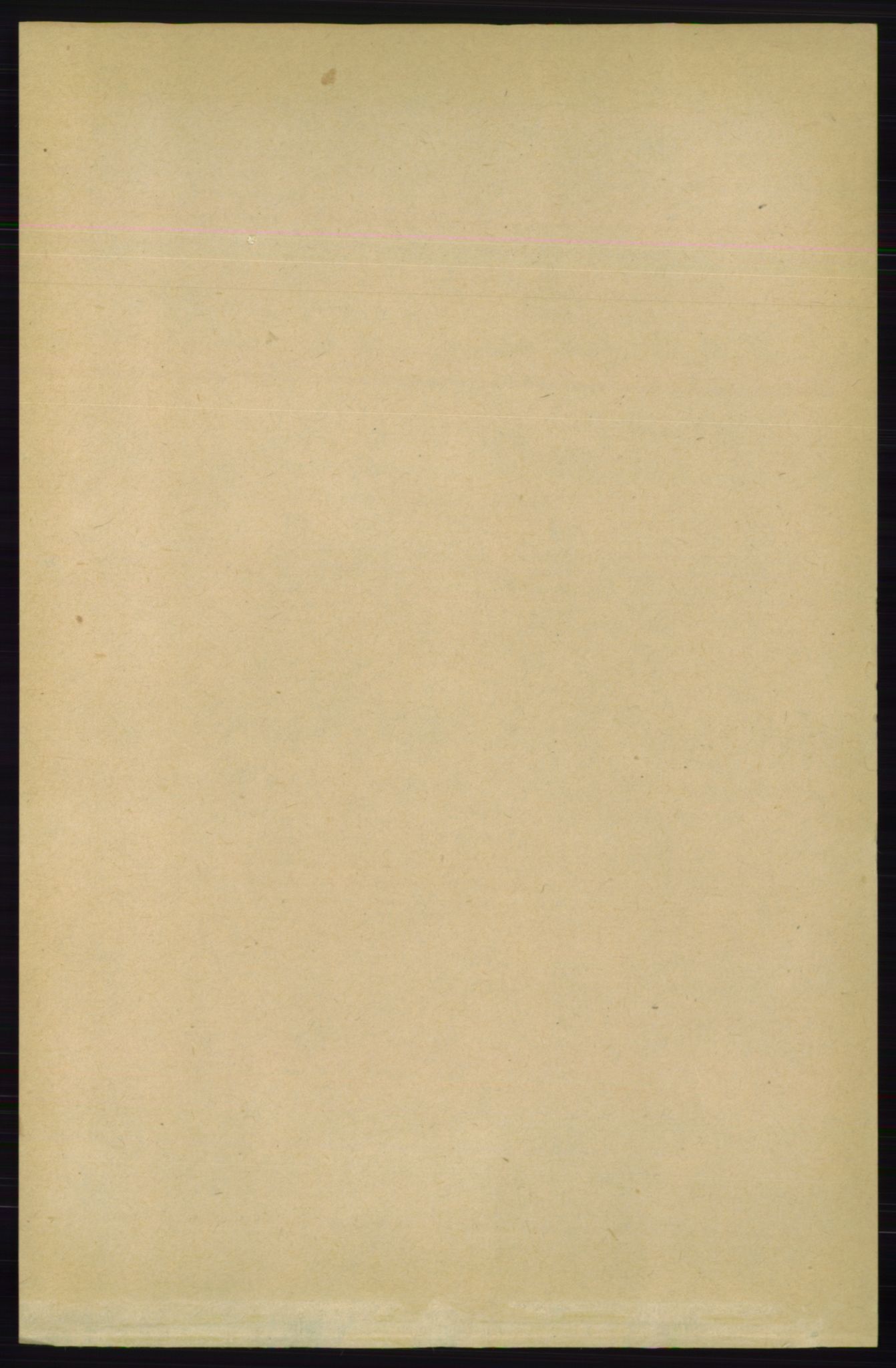 RA, Folketelling 1891 for 0913 Søndeled herred, 1891, s. 3289