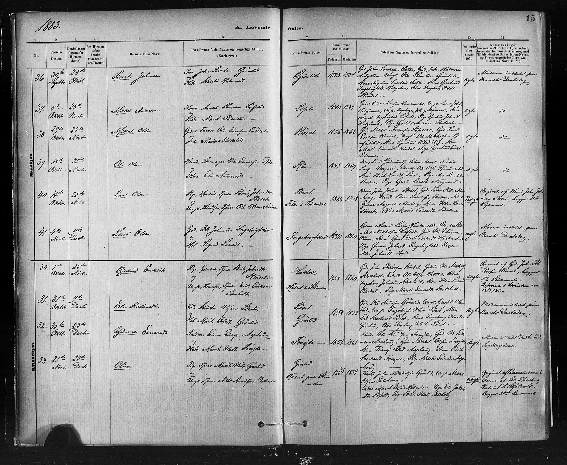 Ministerialprotokoller, klokkerbøker og fødselsregistre - Møre og Romsdal, AV/SAT-A-1454/598/L1069: Ministerialbok nr. 598A03, 1882-1895, s. 15