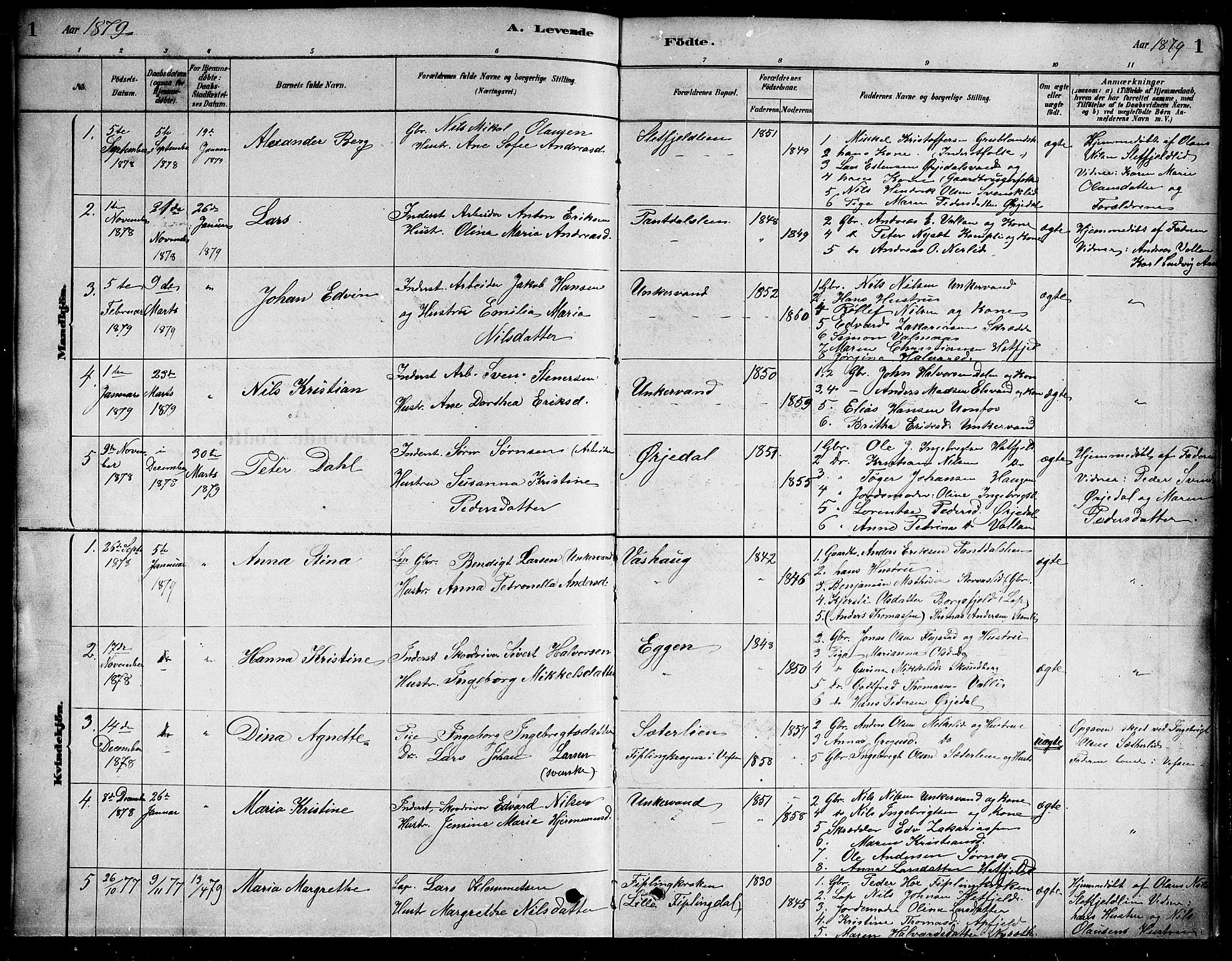Ministerialprotokoller, klokkerbøker og fødselsregistre - Nordland, AV/SAT-A-1459/823/L0330: Klokkerbok nr. 823C02, 1879-1916, s. 1