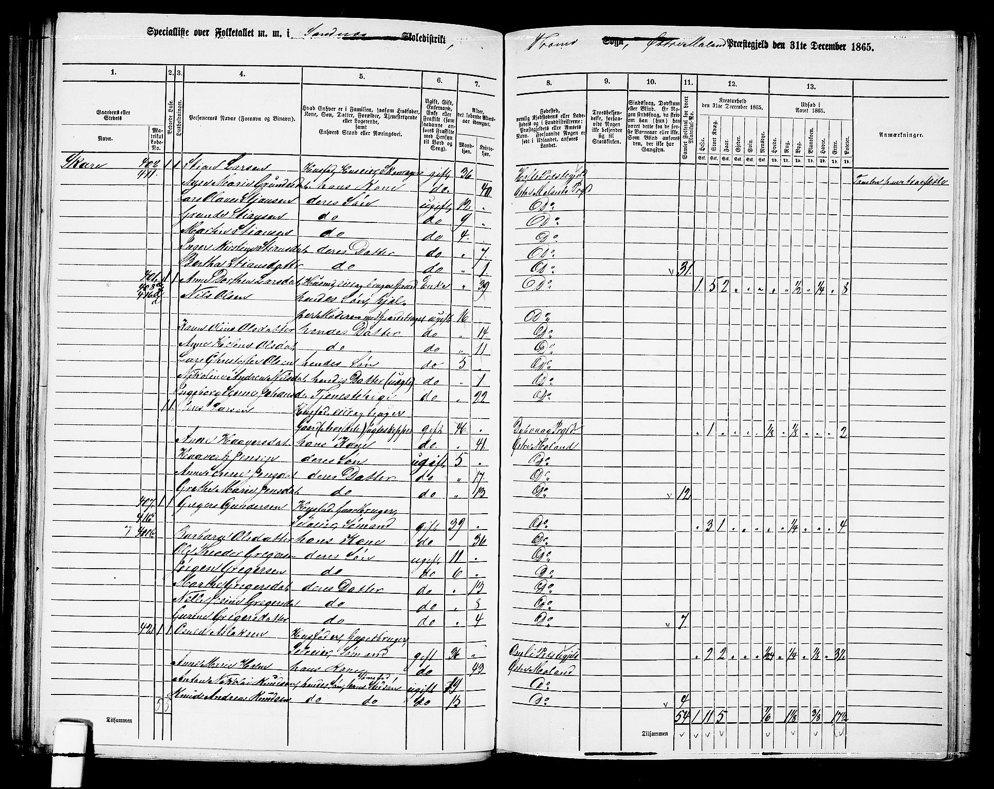 RA, Folketelling 1865 for 0918P Austre Moland prestegjeld, 1865, s. 193