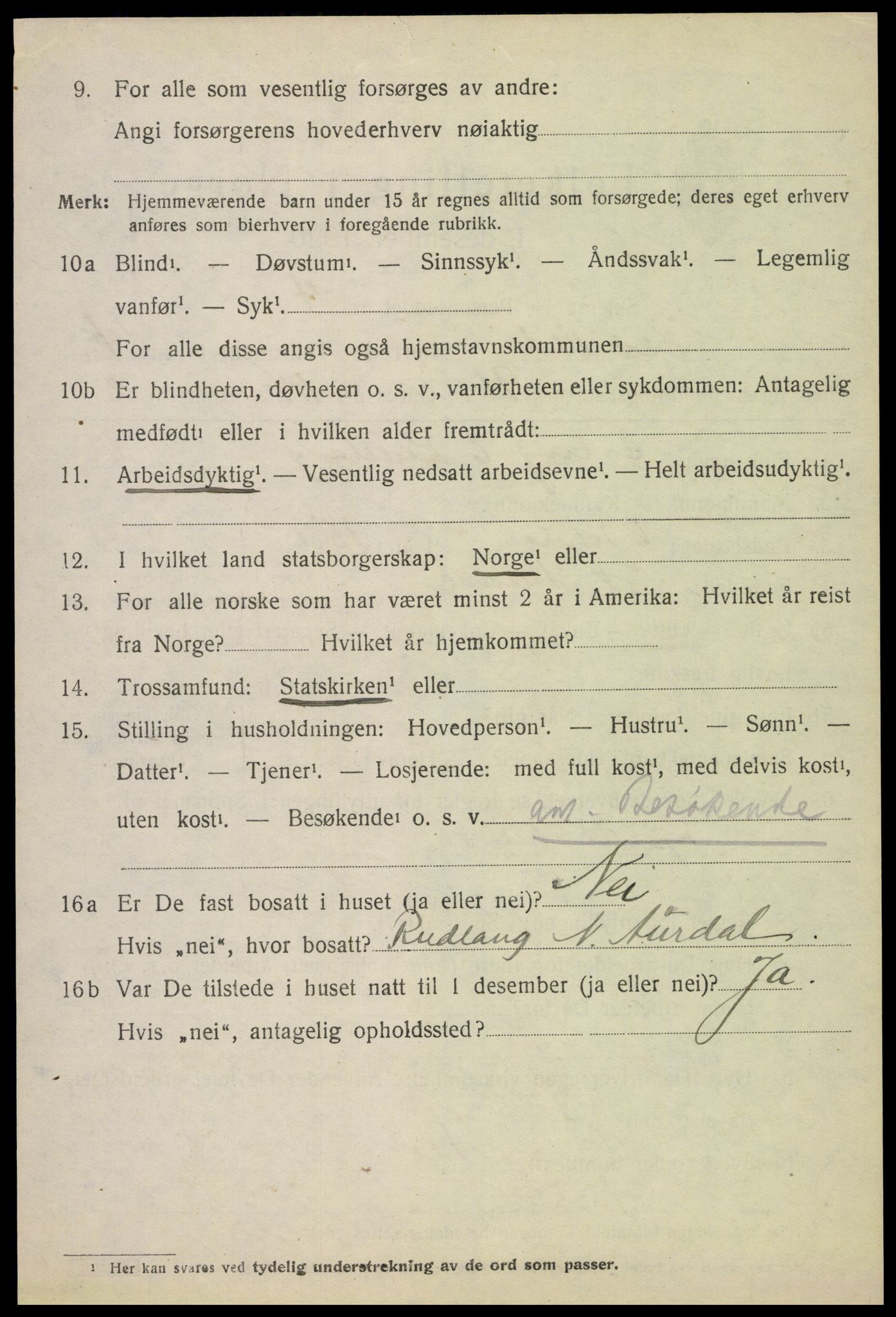 SAH, Folketelling 1920 for 0411 Nes herred, 1920, s. 6615