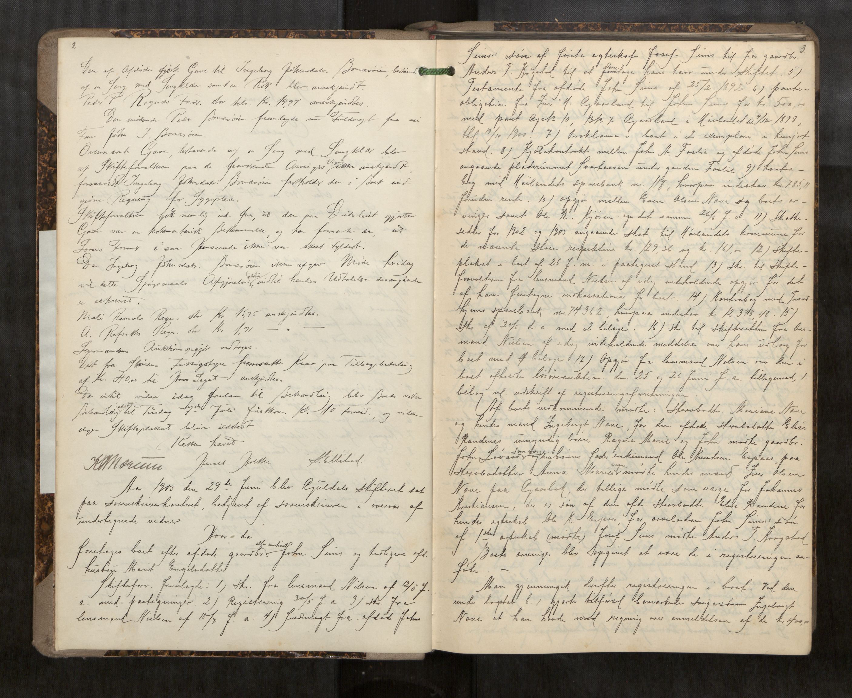 Gauldal sorenskriveri, AV/SAT-A-0014/1/3/3B/L0005: Skiftebehandlingsprotokoll, 1903-1907, s. 2-3