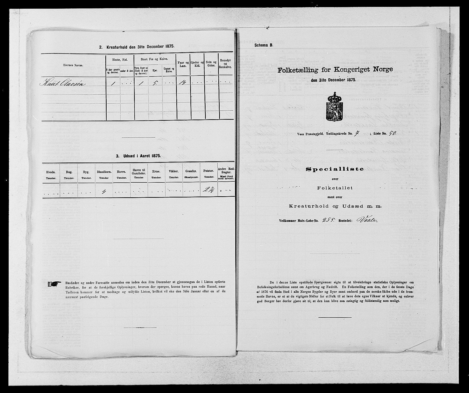 SAB, Folketelling 1875 for 1235P Voss prestegjeld, 1875, s. 899