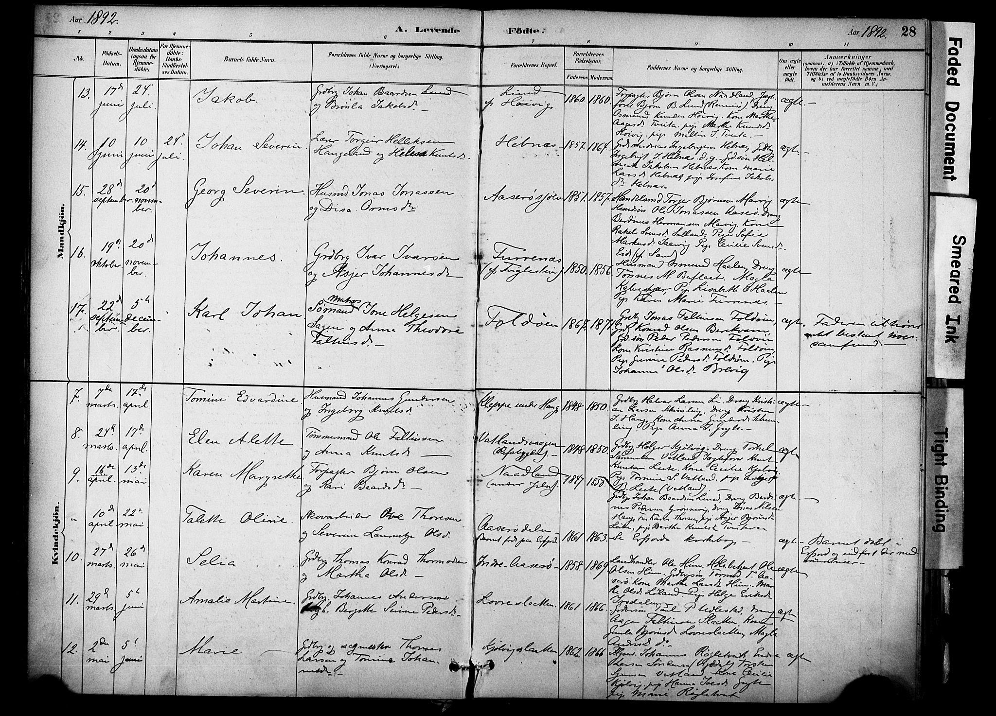 Jelsa sokneprestkontor, AV/SAST-A-101842/01/IV: Ministerialbok nr. A 10, 1884-1906, s. 28