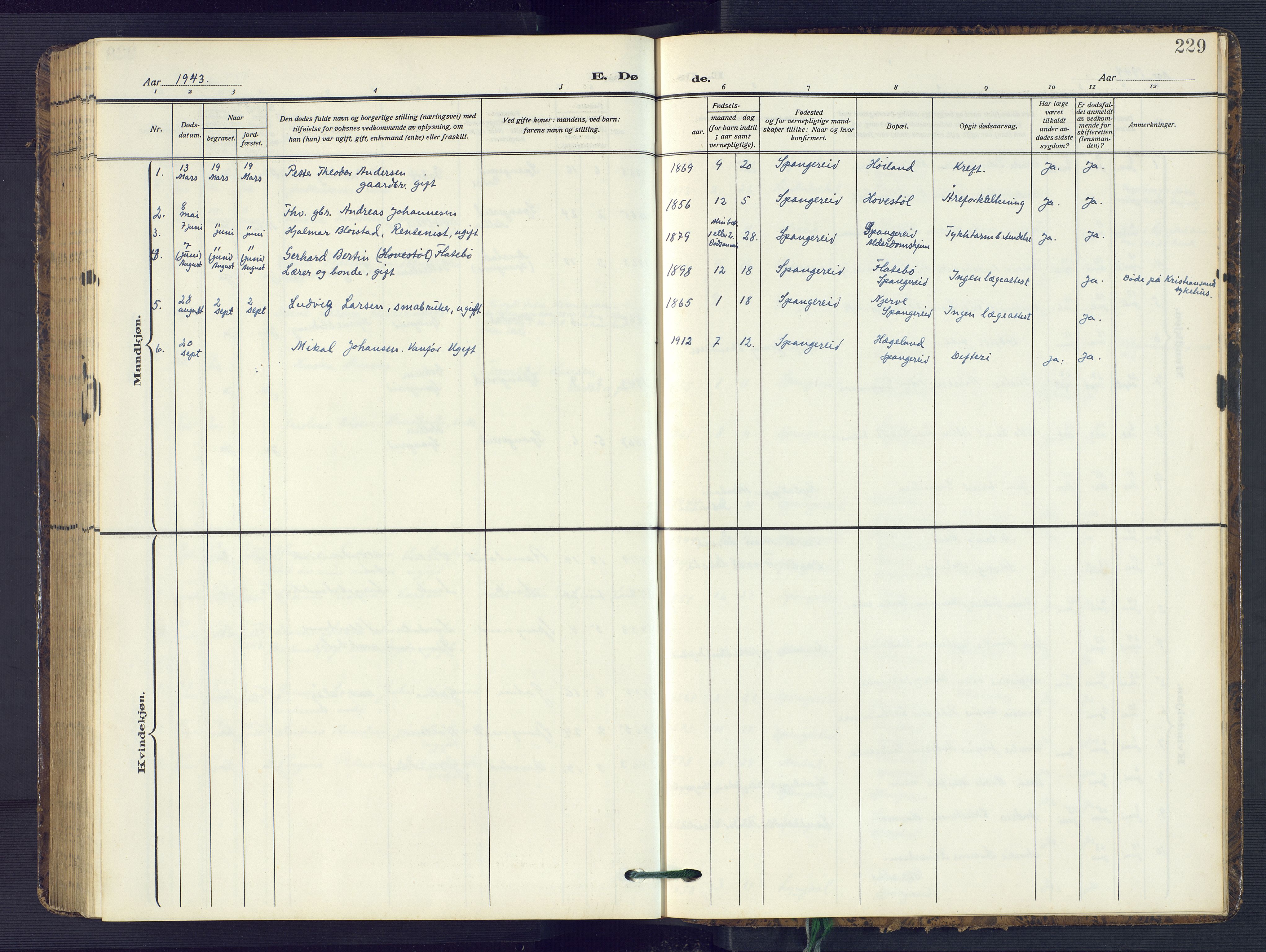 Sør-Audnedal sokneprestkontor, AV/SAK-1111-0039/F/Fb/Fba/L0005: Klokkerbok nr. B 5, 1908-1963, s. 229