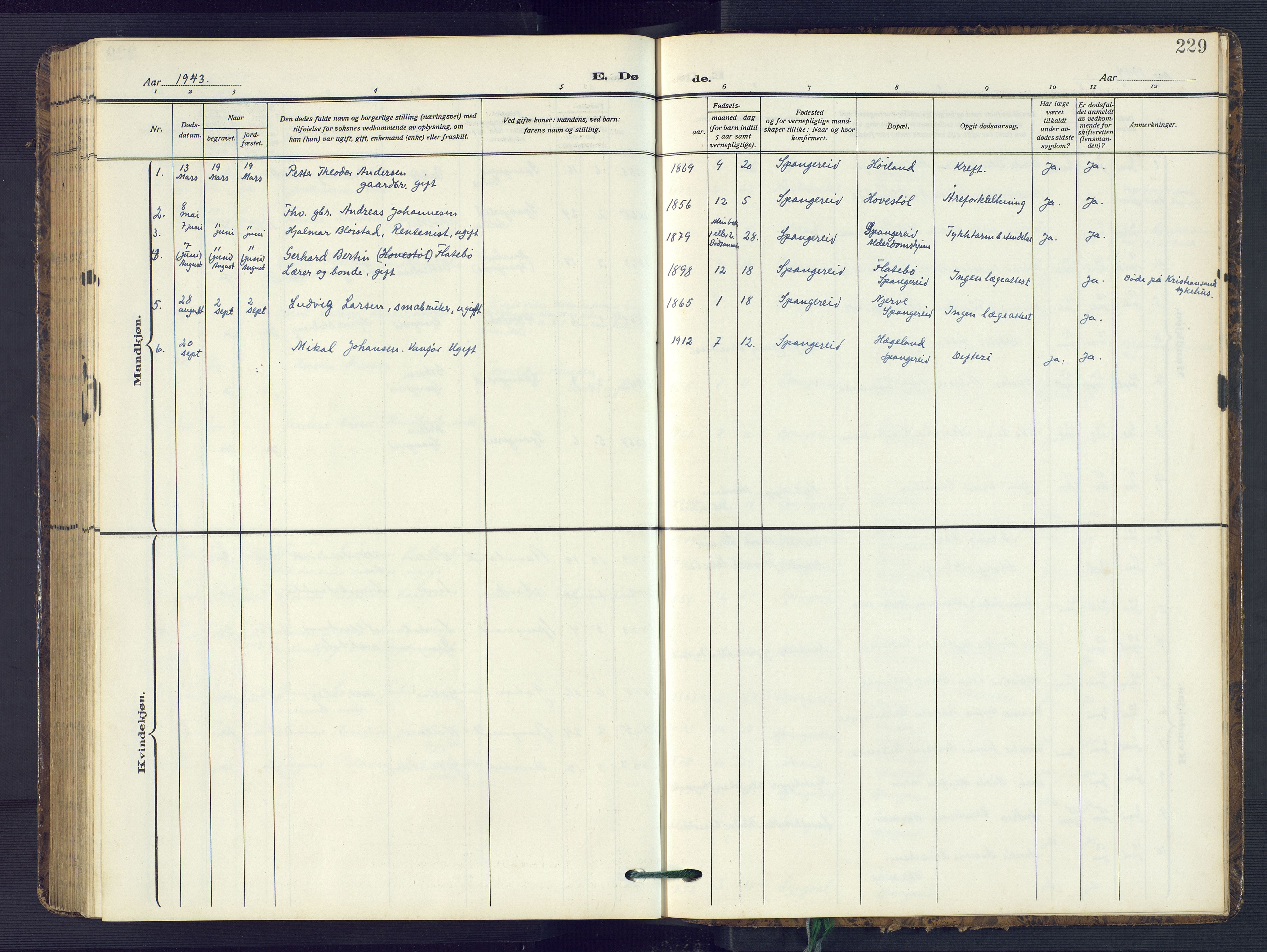 Sør-Audnedal sokneprestkontor, SAK/1111-0039/F/Fb/Fba/L0005: Klokkerbok nr. B 5, 1908-1963, s. 229