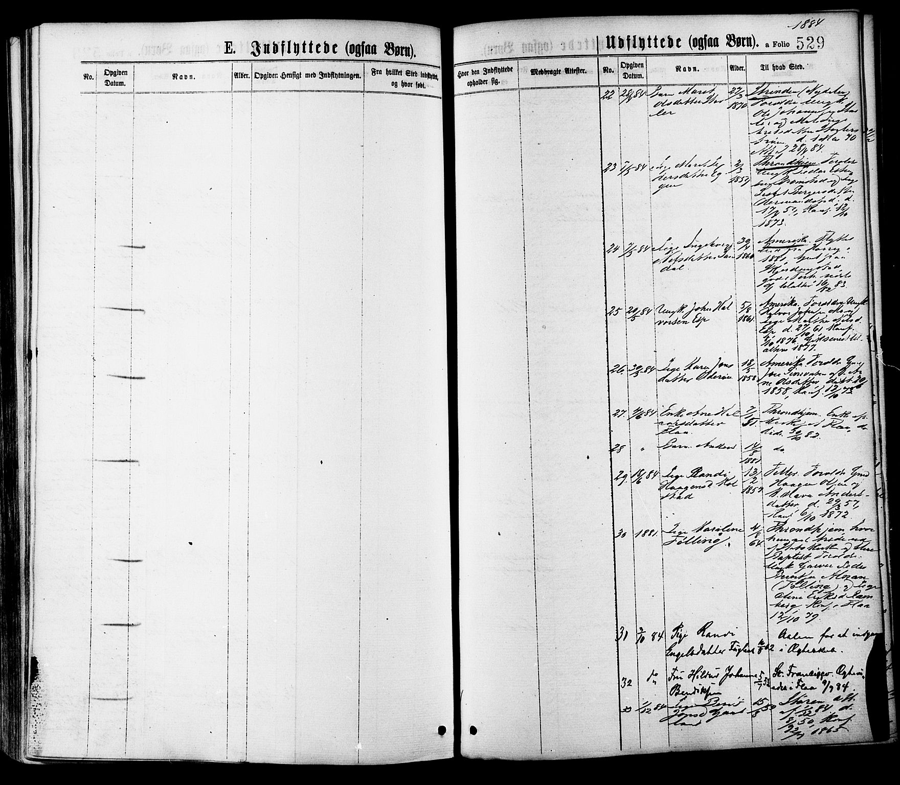 Ministerialprotokoller, klokkerbøker og fødselsregistre - Sør-Trøndelag, AV/SAT-A-1456/691/L1079: Ministerialbok nr. 691A11, 1873-1886, s. 529