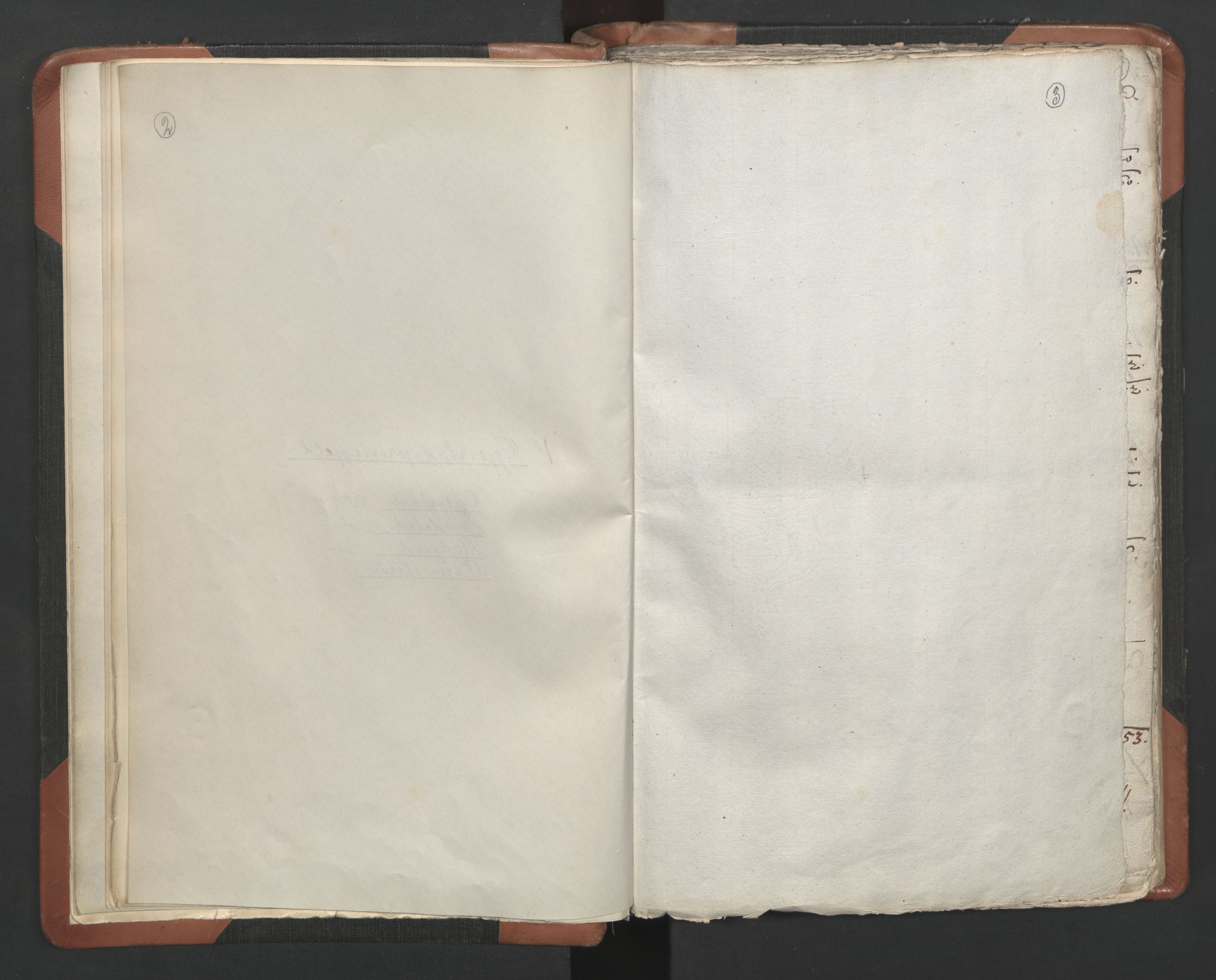 RA, Sogneprestenes manntall 1664-1666, nr. 13: Nedenes prosti, 1664-1666, s. 2-3
