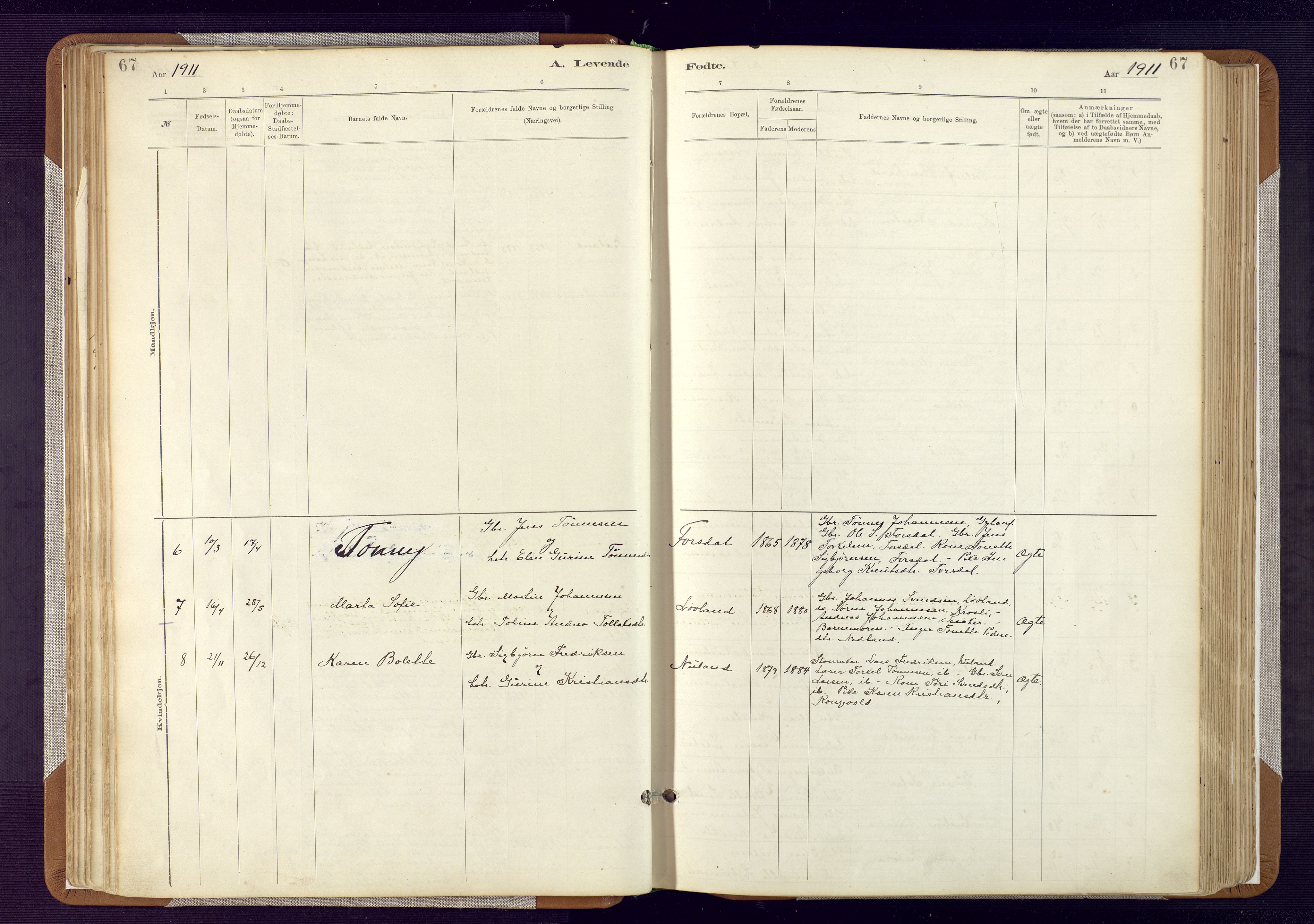 Bakke sokneprestkontor, SAK/1111-0002/F/Fa/Fab/L0003: Ministerialbok nr. A 3, 1884-1921, s. 67
