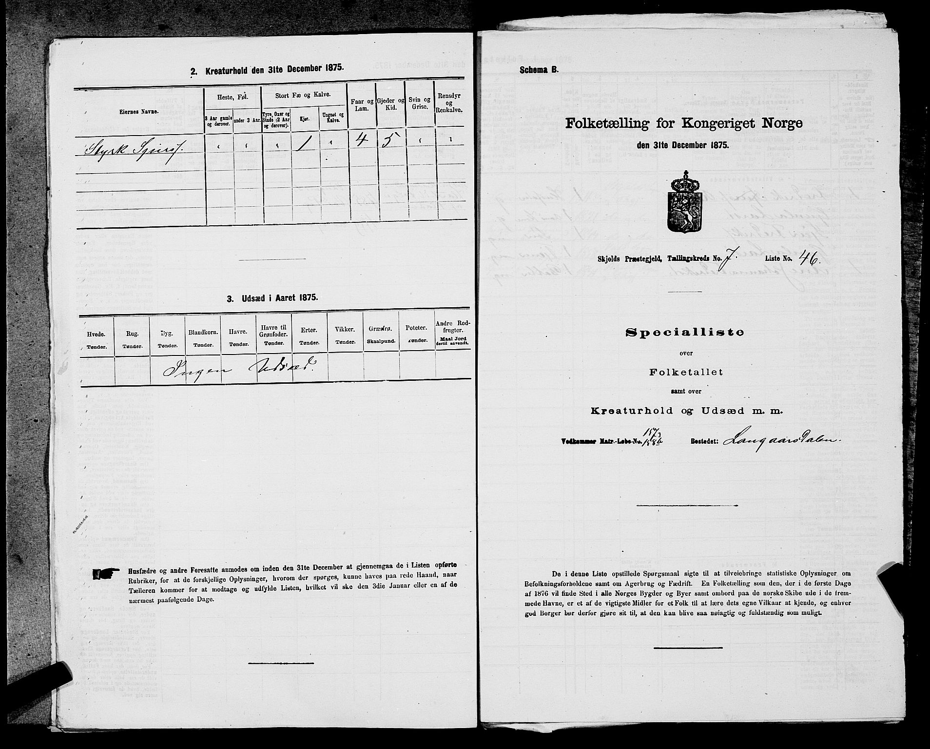 SAST, Folketelling 1875 for 1154P Skjold prestegjeld, 1875, s. 716