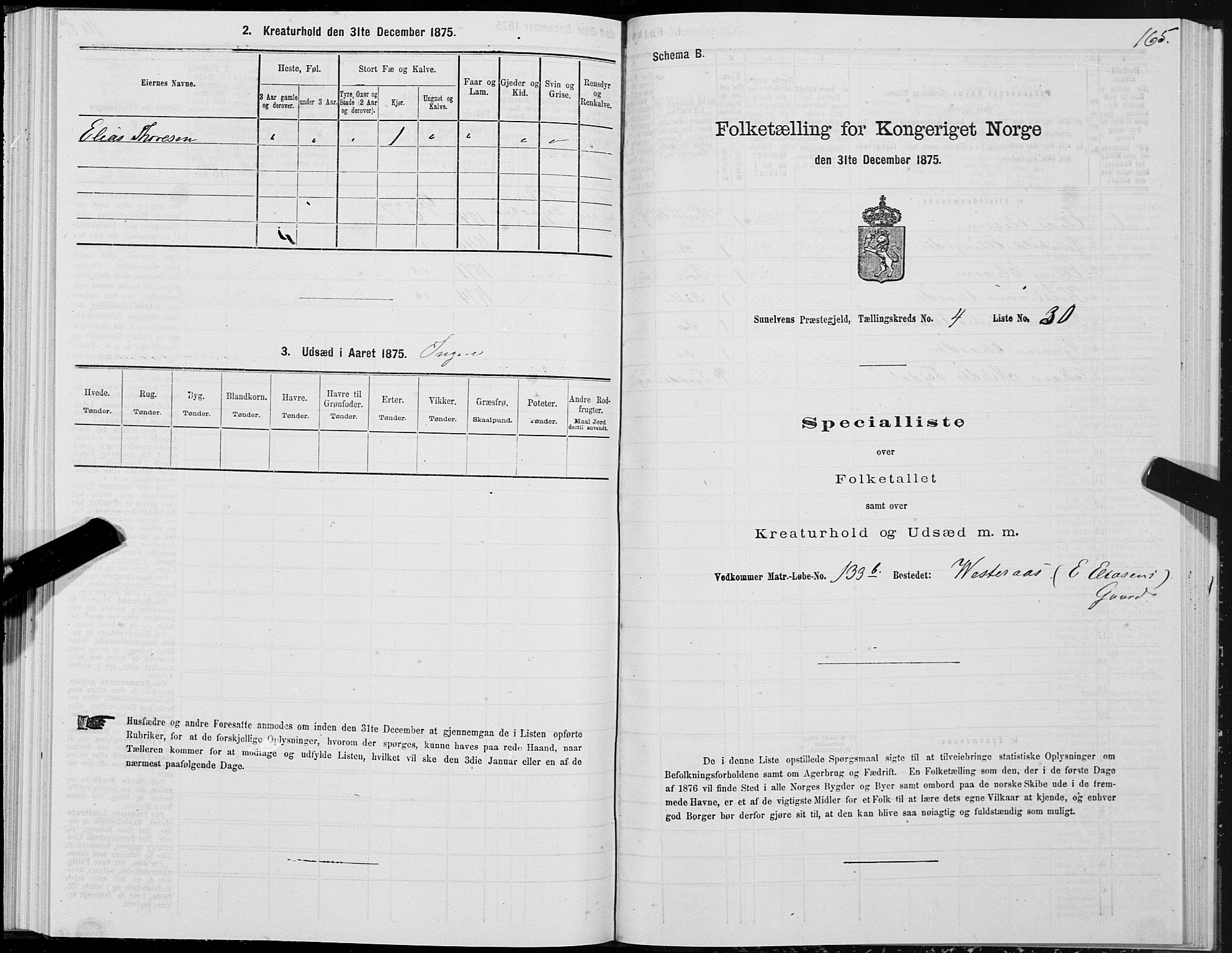 SAT, Folketelling 1875 for 1523P Sunnylven prestegjeld, 1875, s. 2165