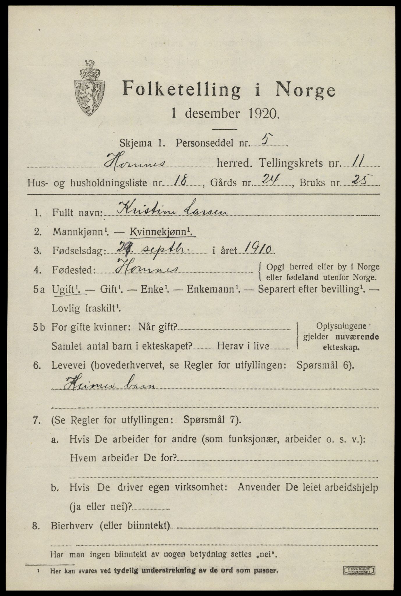 SAK, Folketelling 1920 for 0936 Hornnes herred, 1920, s. 2853