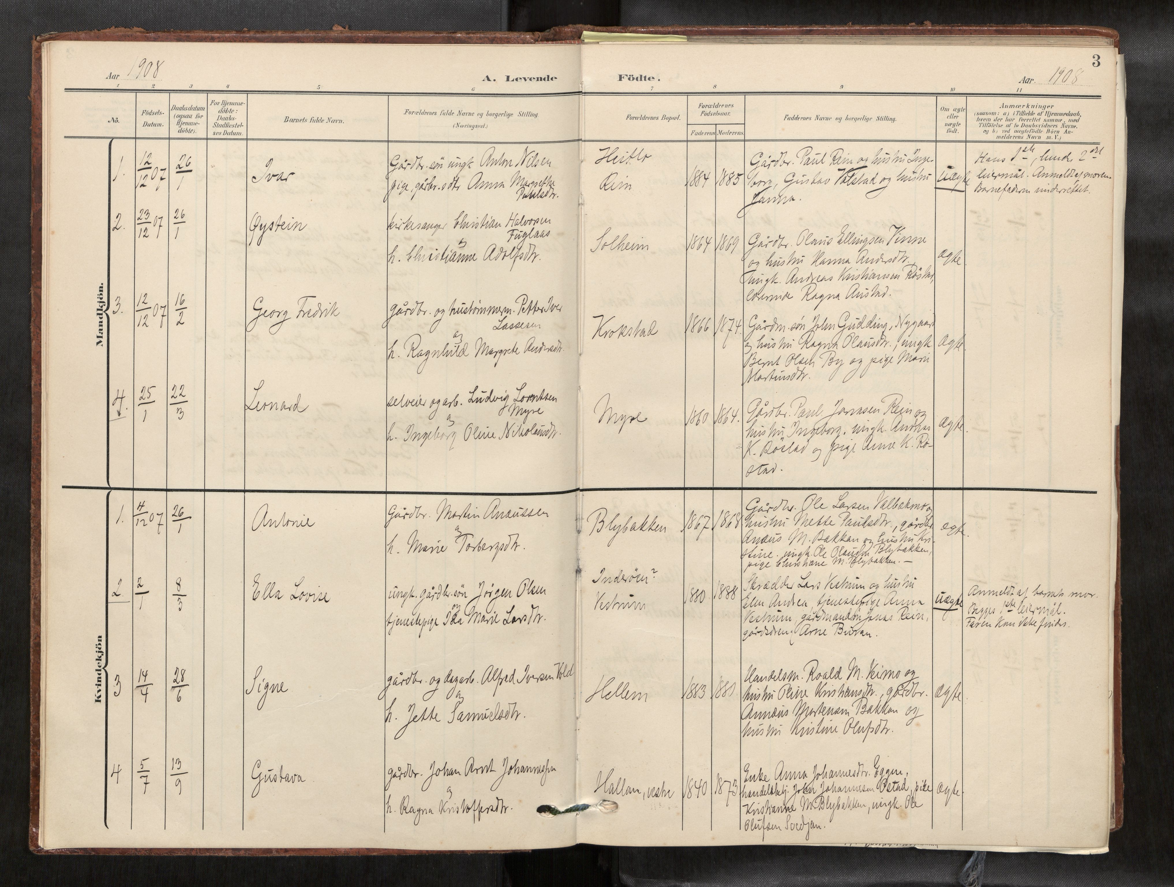 Verdal sokneprestkontor, AV/SAT-A-1156/2/H/Haa/L0003: Ministerialbok nr. 3, 1907-1921, s. 3